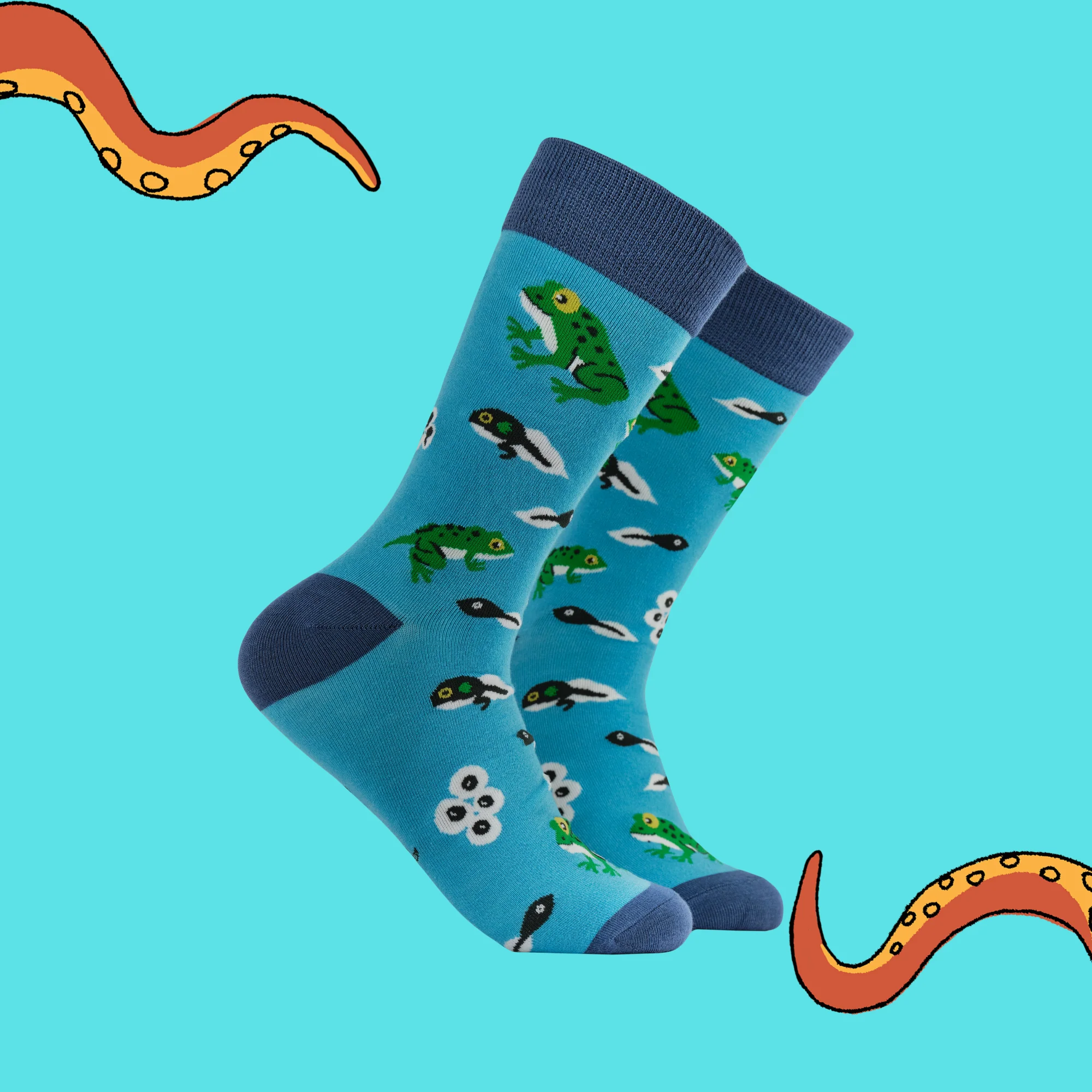 Bamboo Socks - Frog Lifecycle - Frogtopus - Image 2