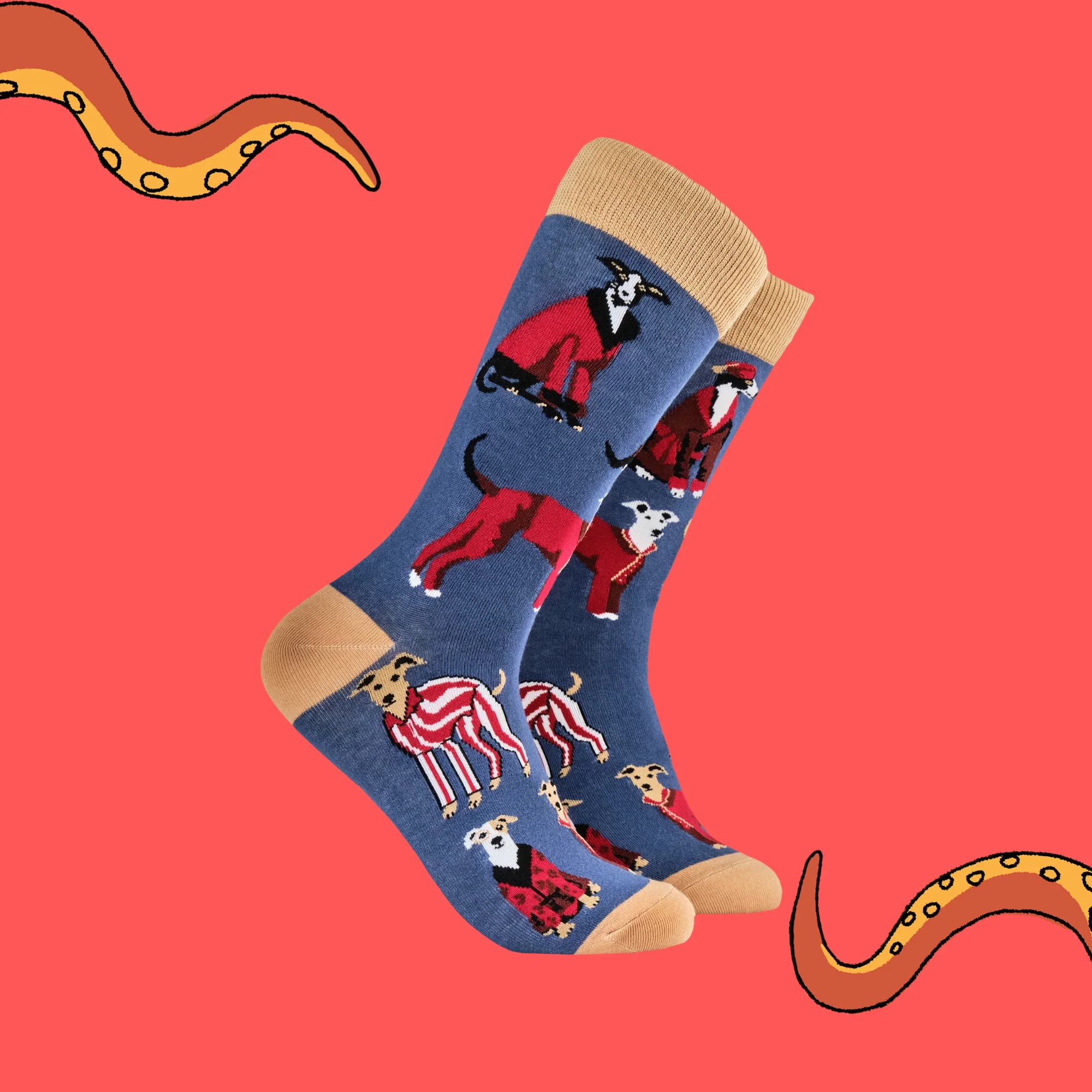 Italian Greyhound Socks - Gentleman's Best Friend - Image 2