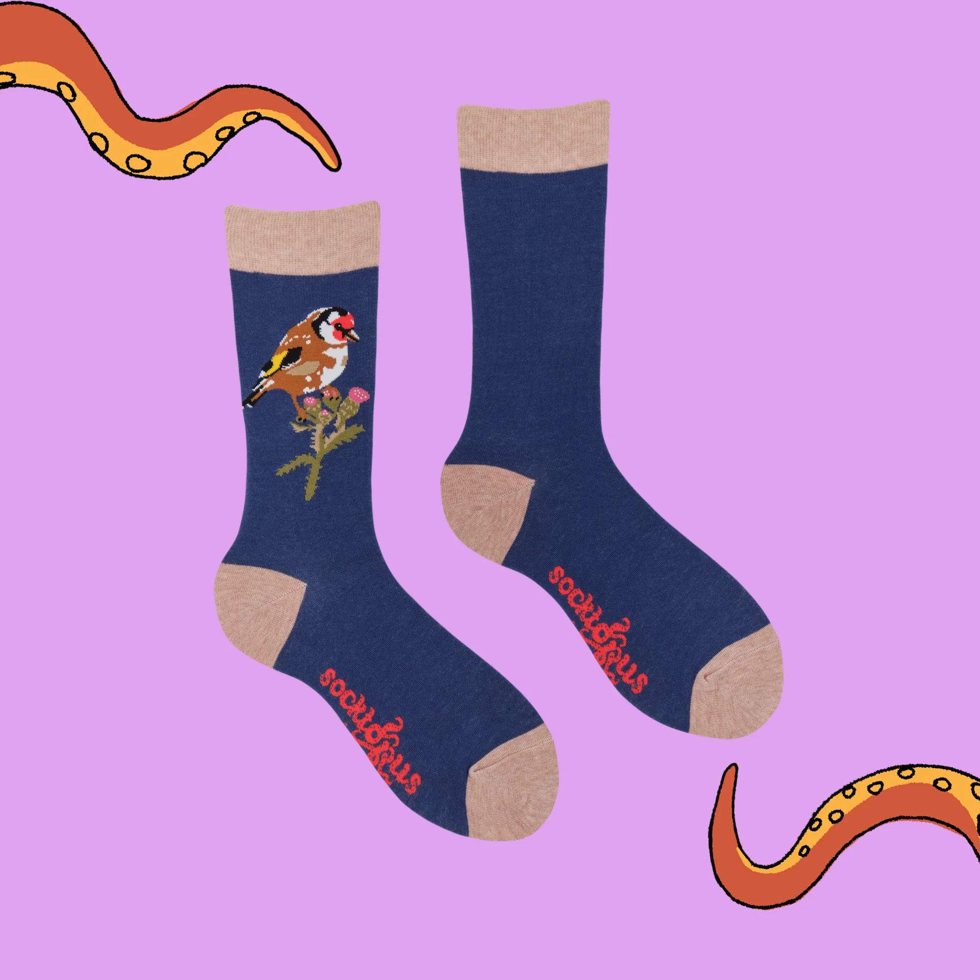 Goldfinch Socks - Socktopus X Robert E Fuller - Image 6