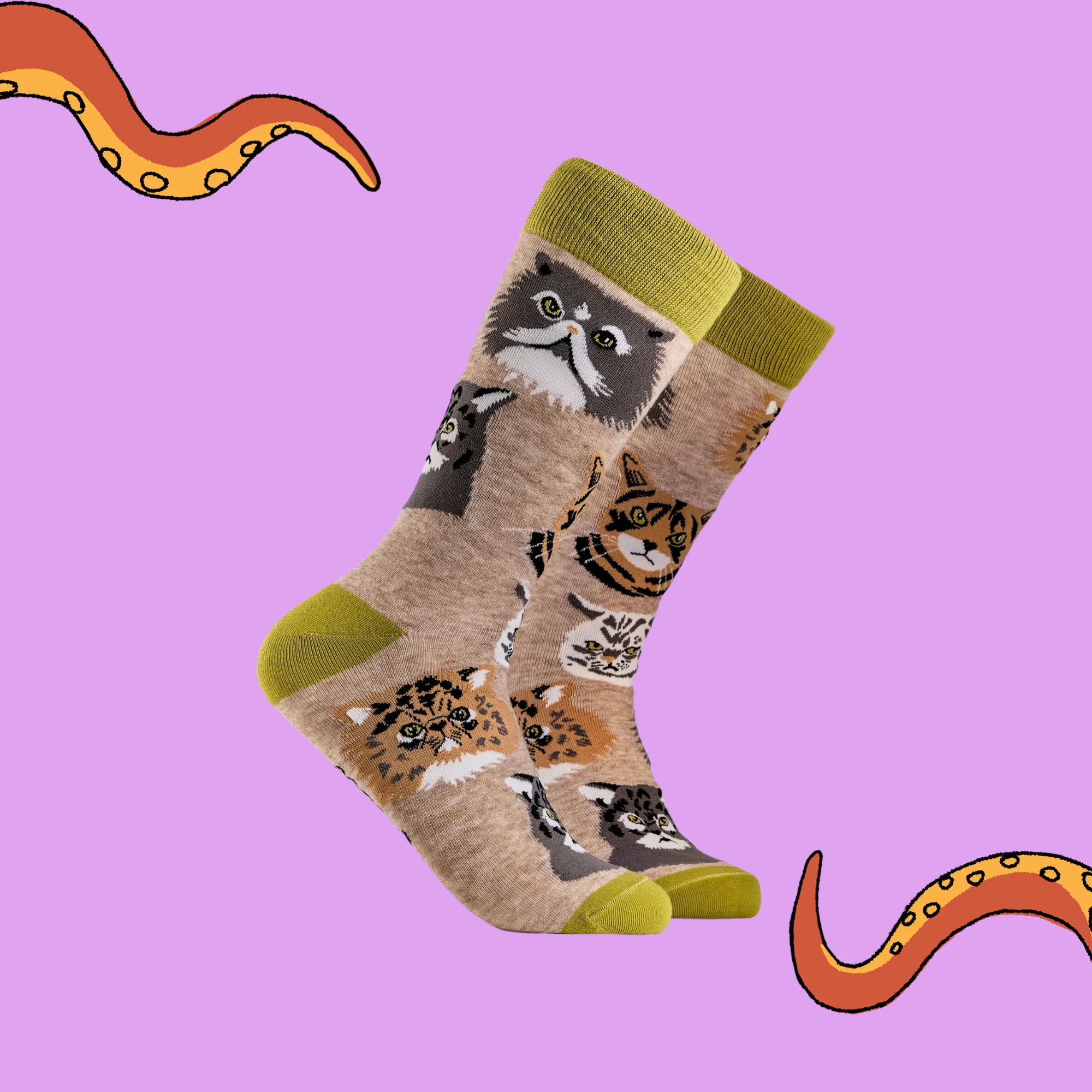 Grumpy Cats Socks - Image 2