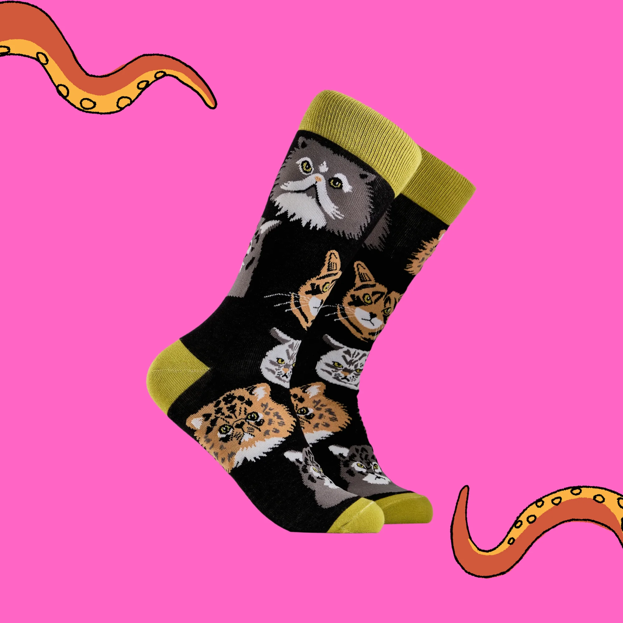 Grumpy Cats Socks - Image 3