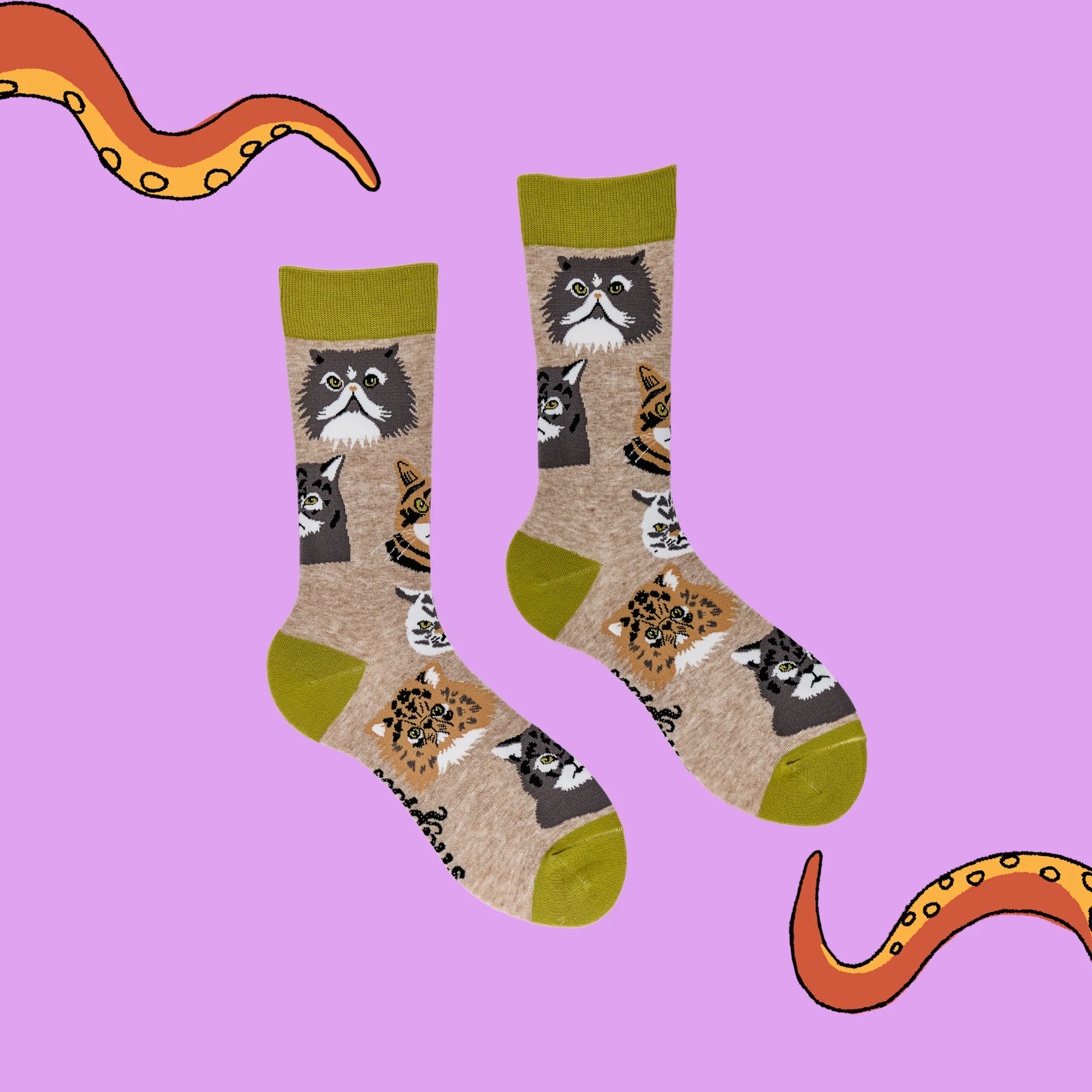 Grumpy Cats Socks - Image 5