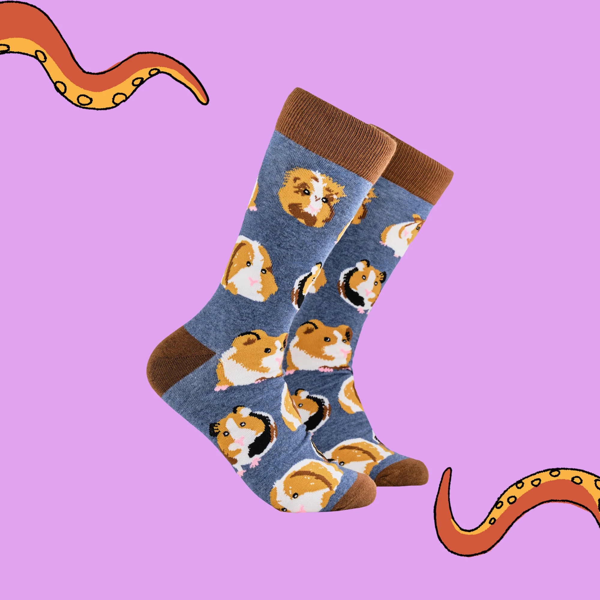 Guinea Pig Socks - I Am Not A Hamster - XS - Image 2