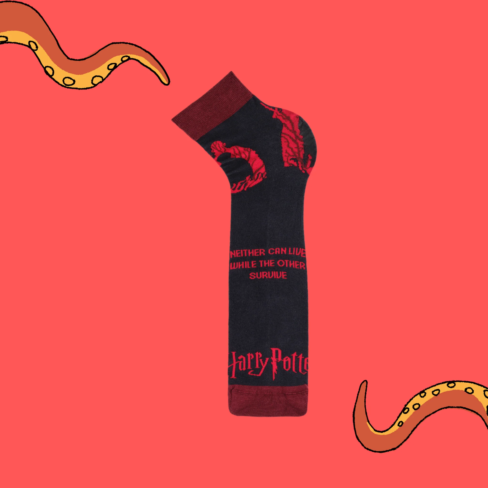 Harry Potter Socks - He Who Must Not Be Named - Image 4