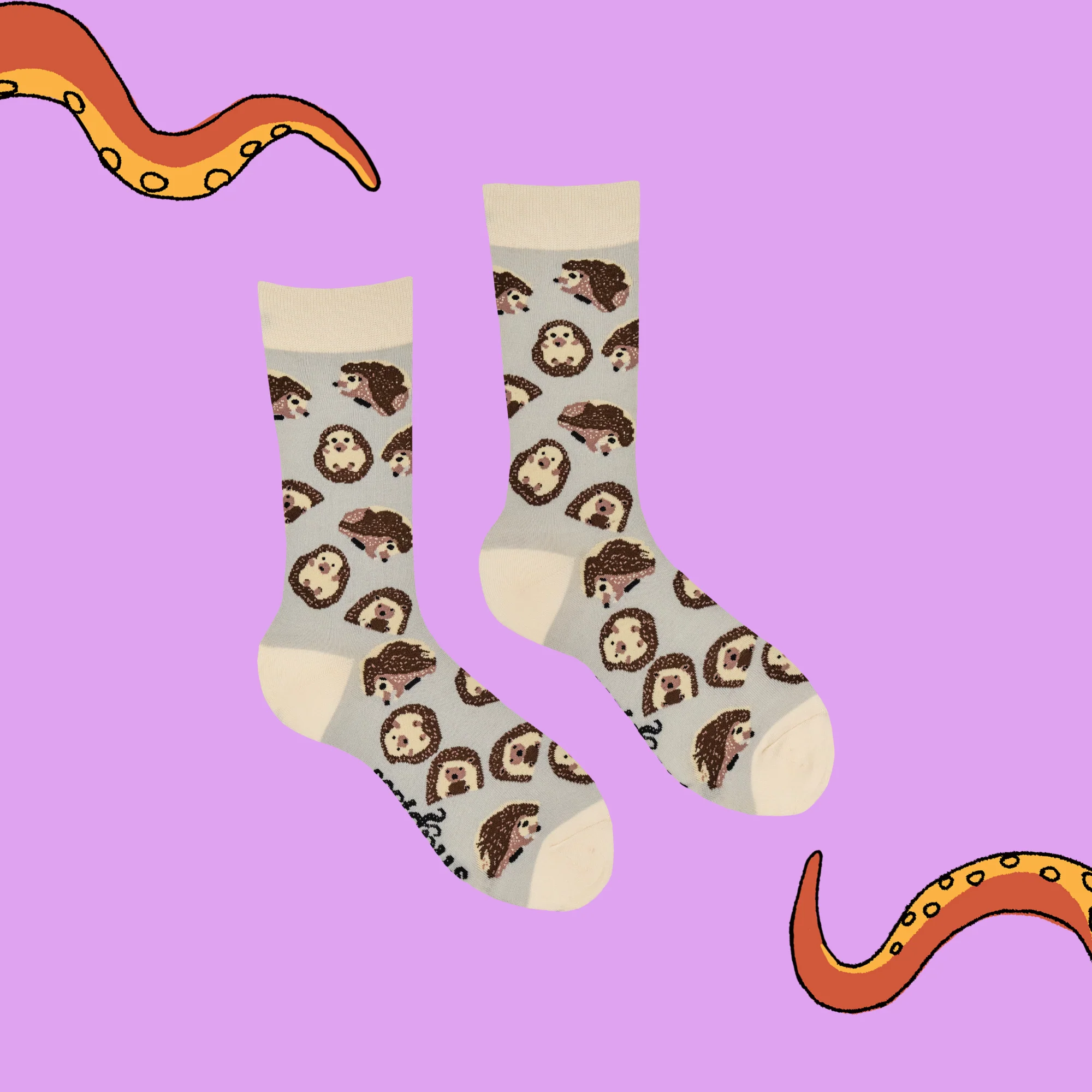 Hedgehog Socks - Prickly - XS - Image 3