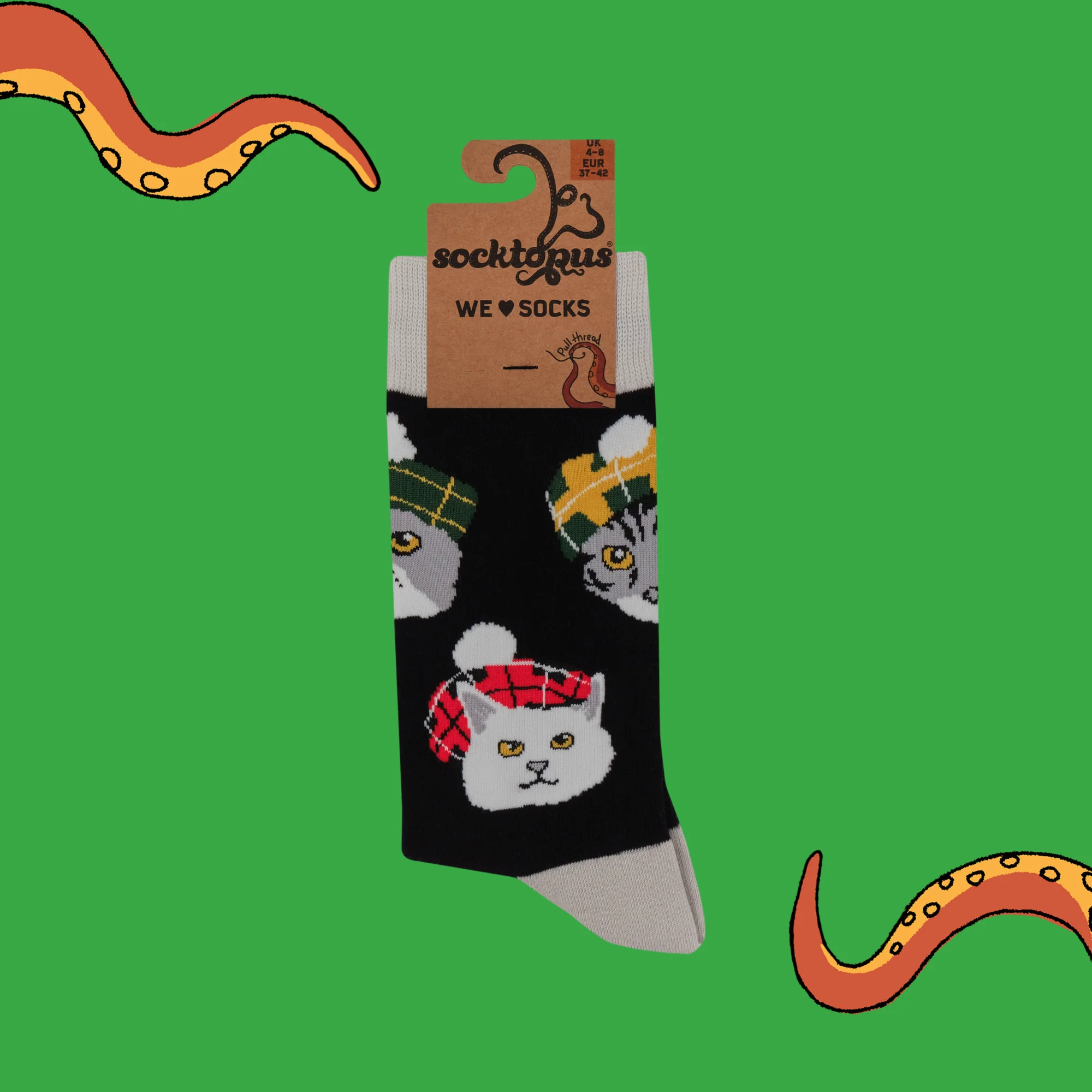 Highland Cats Socks - Image 4