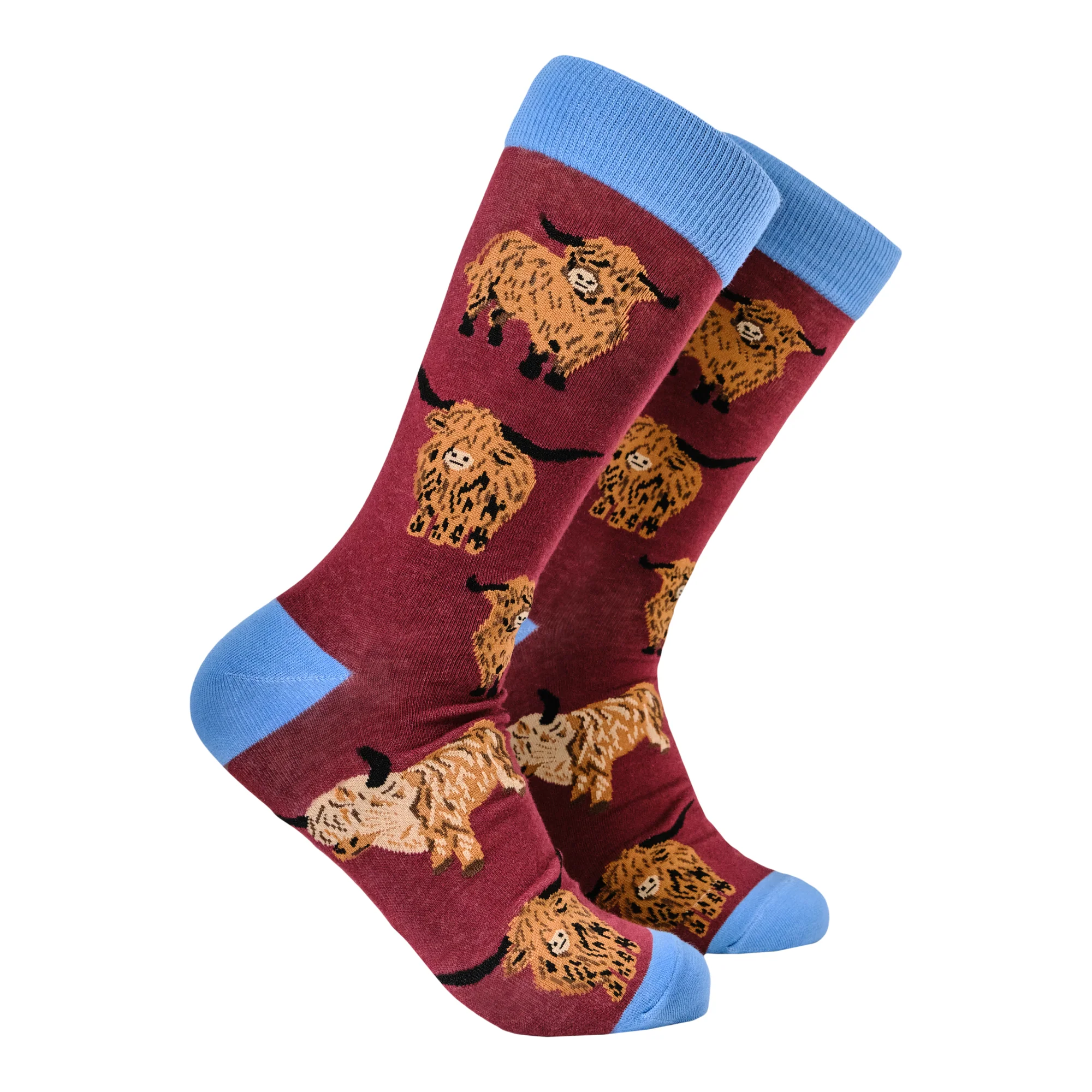 Highland Cow Socks - Och Aye the Moo! - Image 5