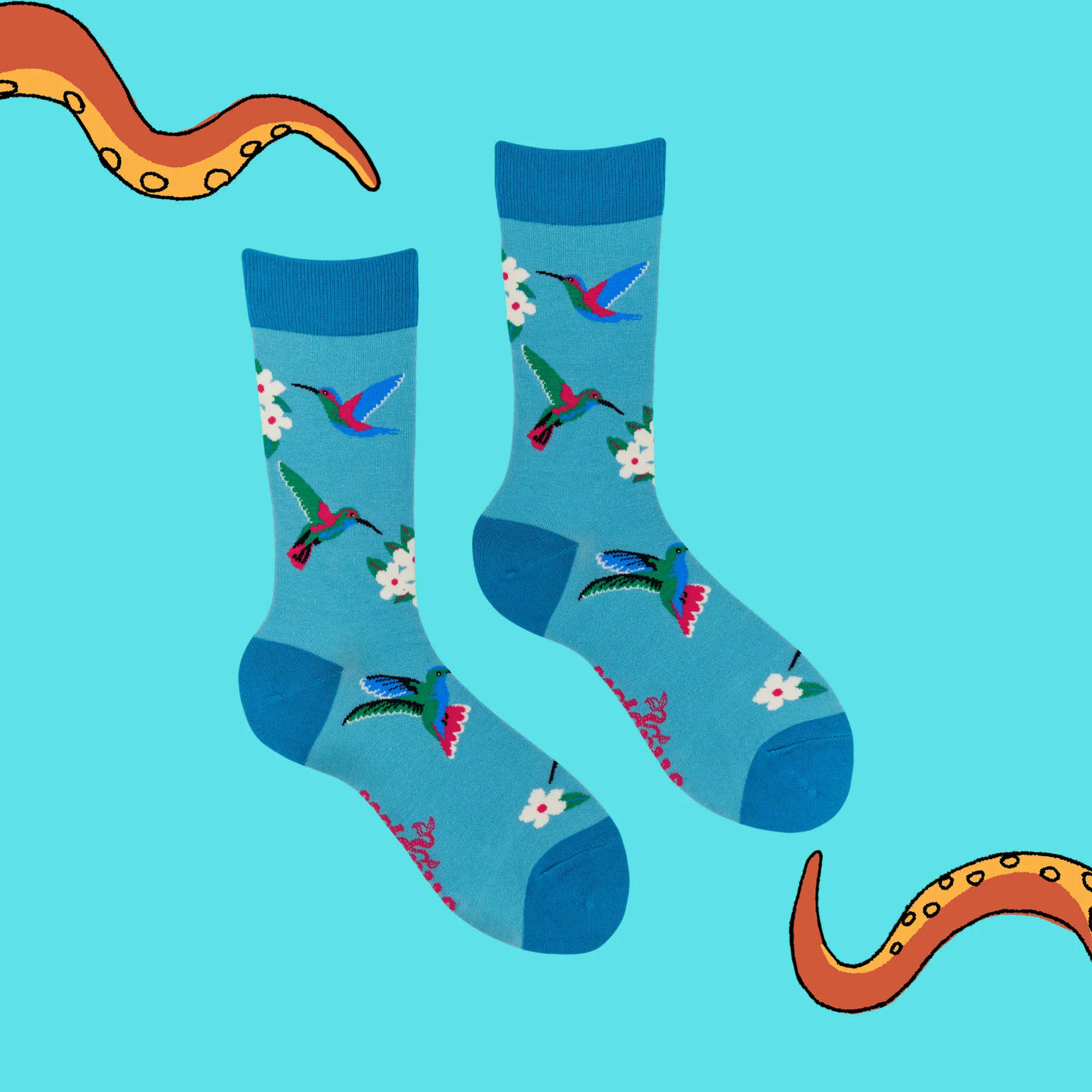 Bamboo Socks - Hummingbird - Hummmazing - Image 3