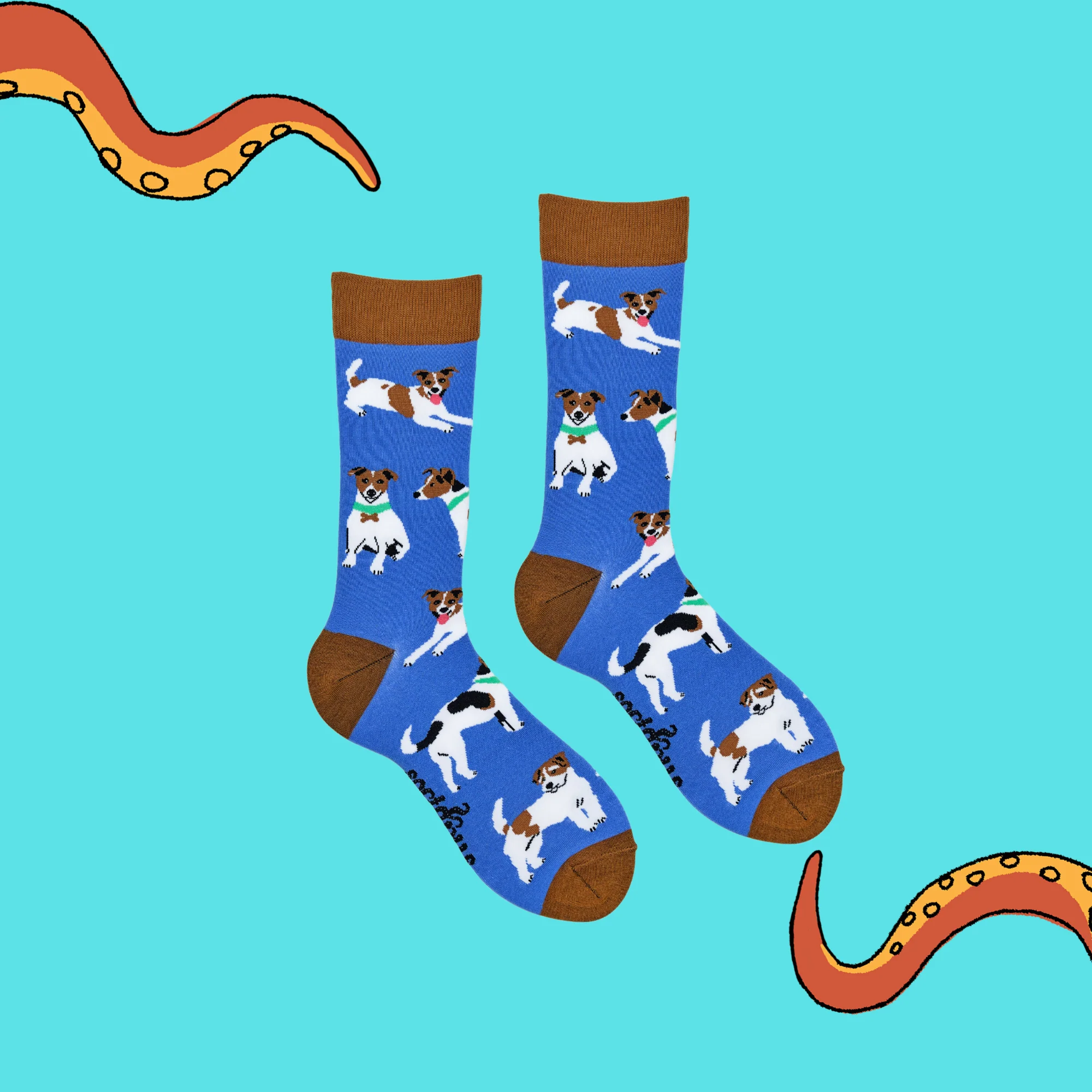 Jack Russell Terrier Socks - Jack The Lad - Image 3