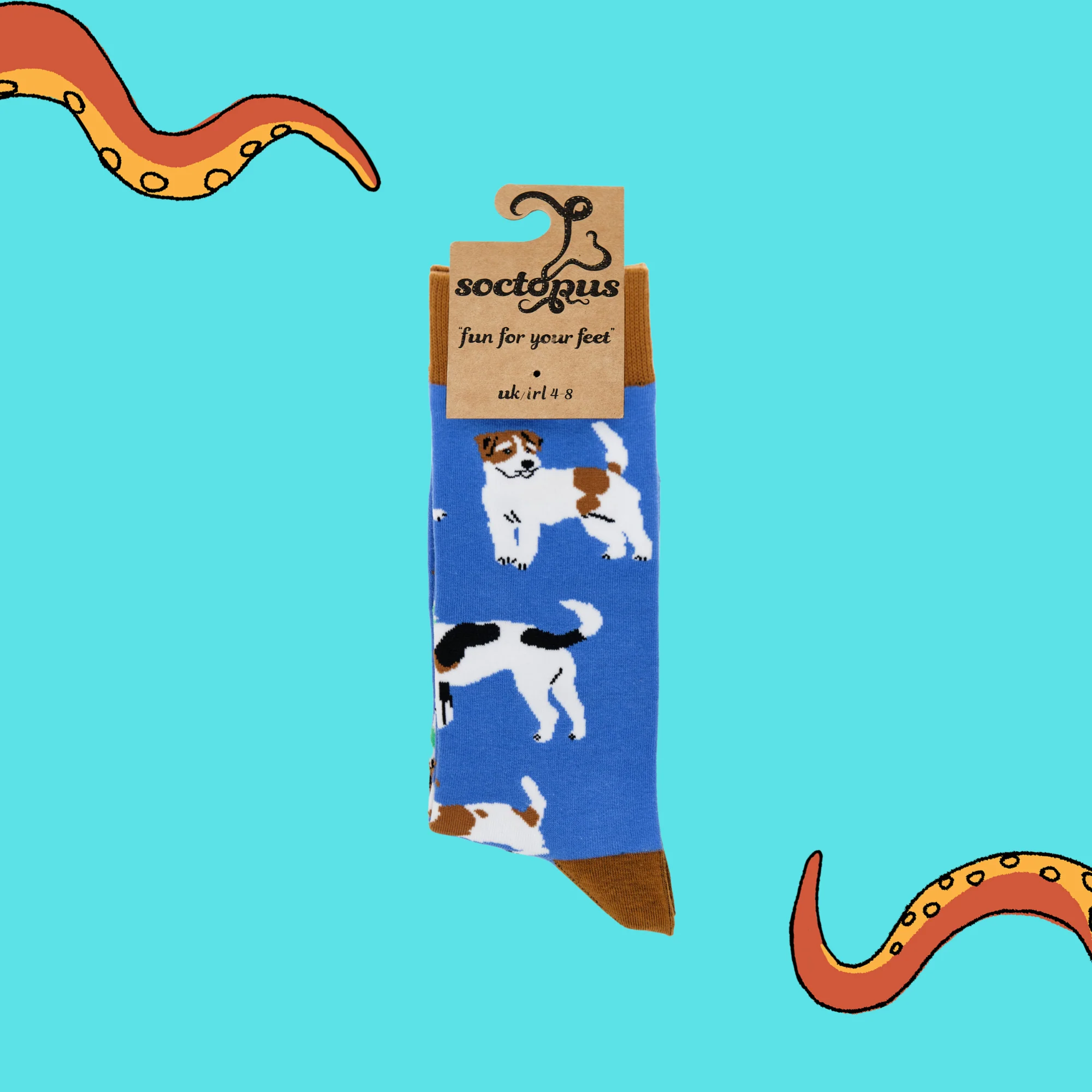 Jack Russell Terrier Socks - Jack The Lad - Image 4