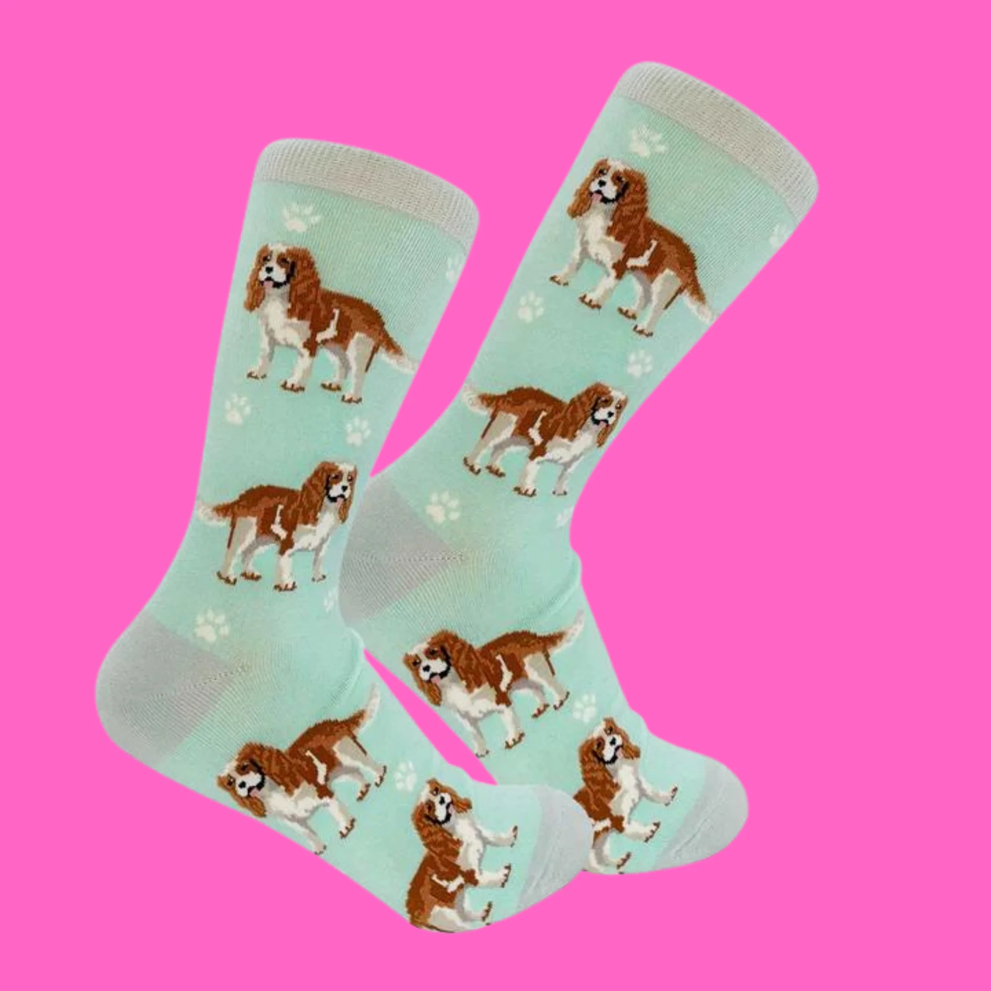King Charles Cavalier Dog Full Body Socks - Image 2