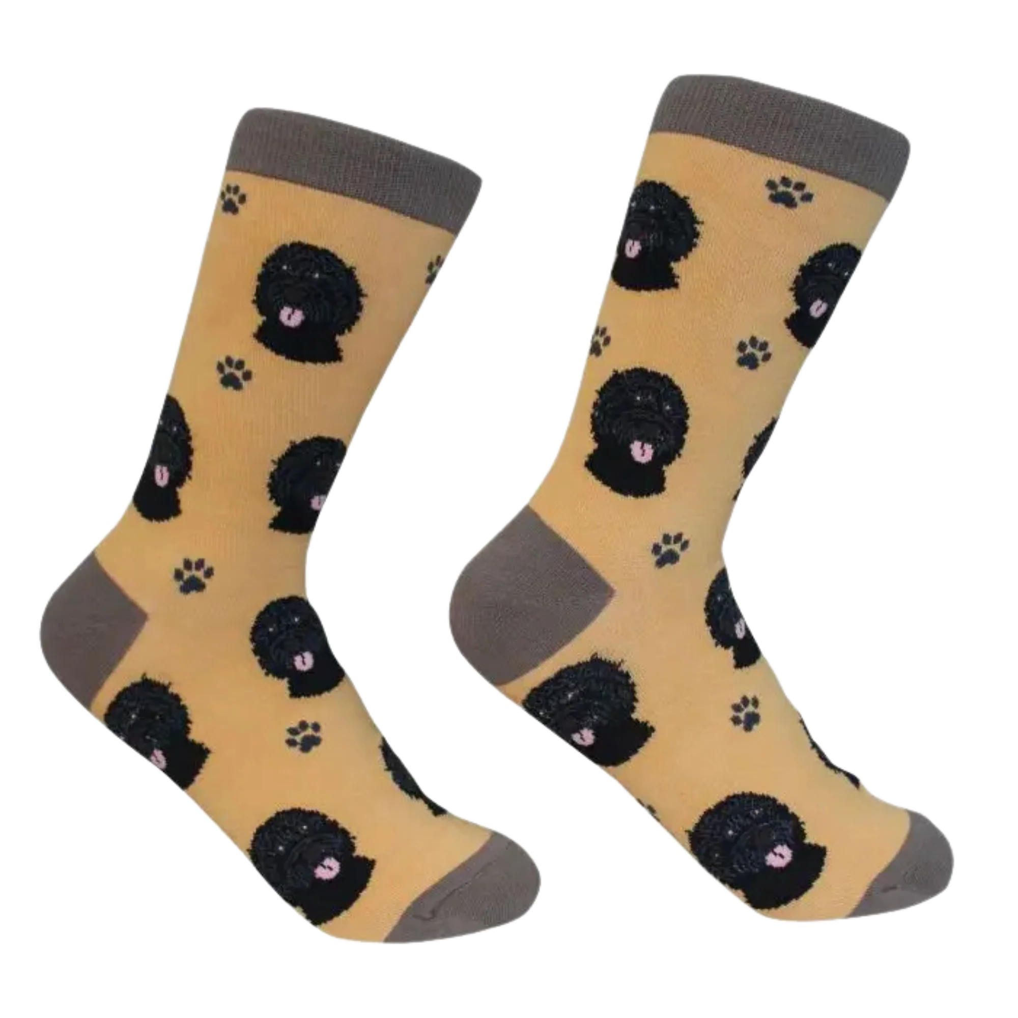 Black Labradoodle Dog Socks