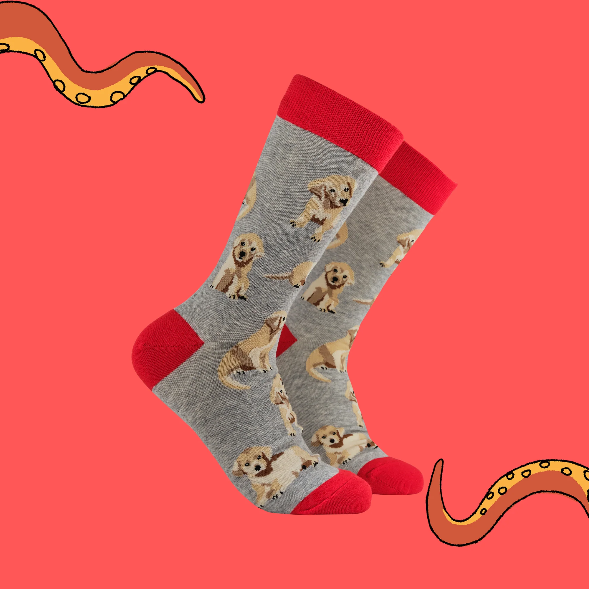 Puppy Love Socks - Image 2