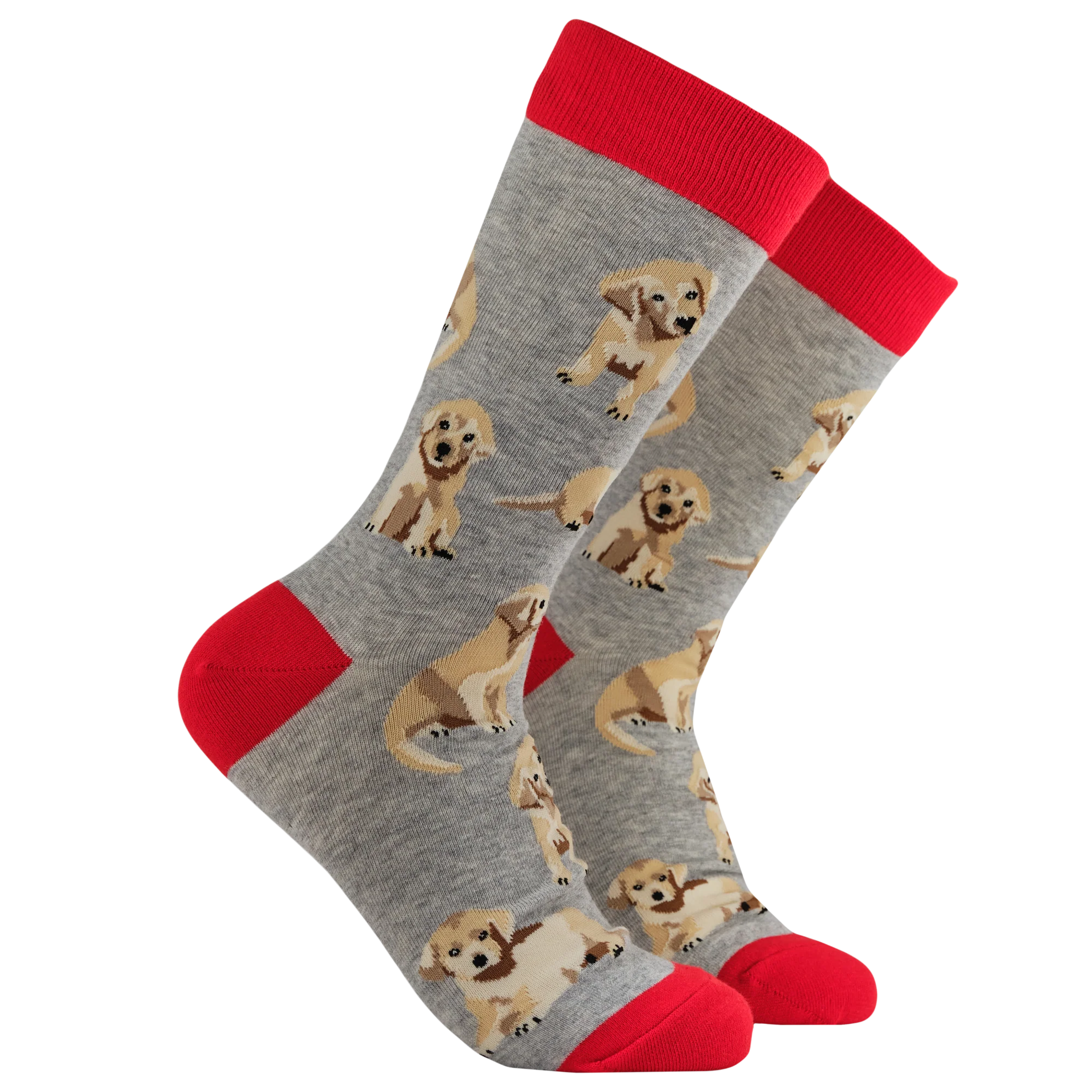 Puppy Love Socks - Image 3