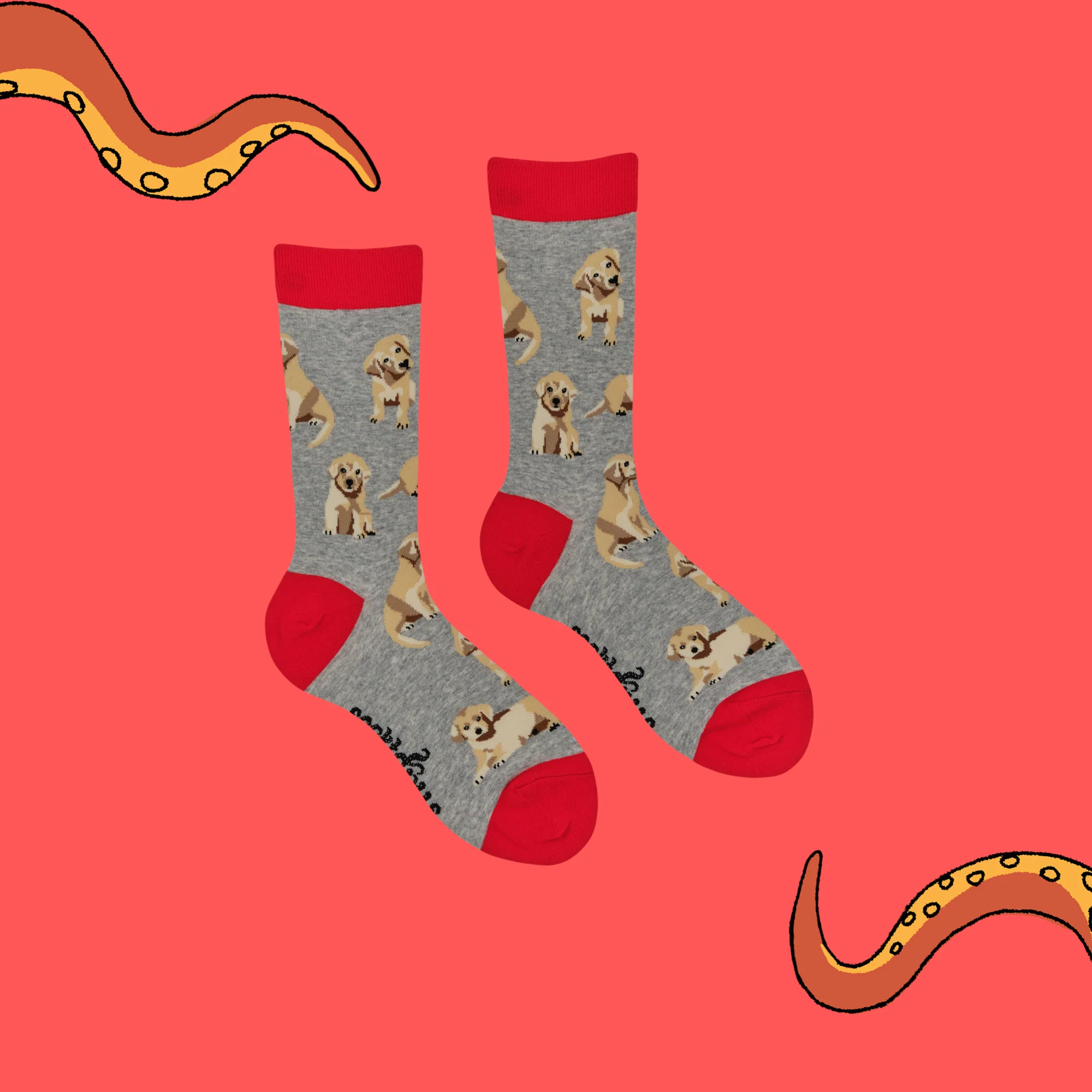 Puppy Love Socks - Image 5