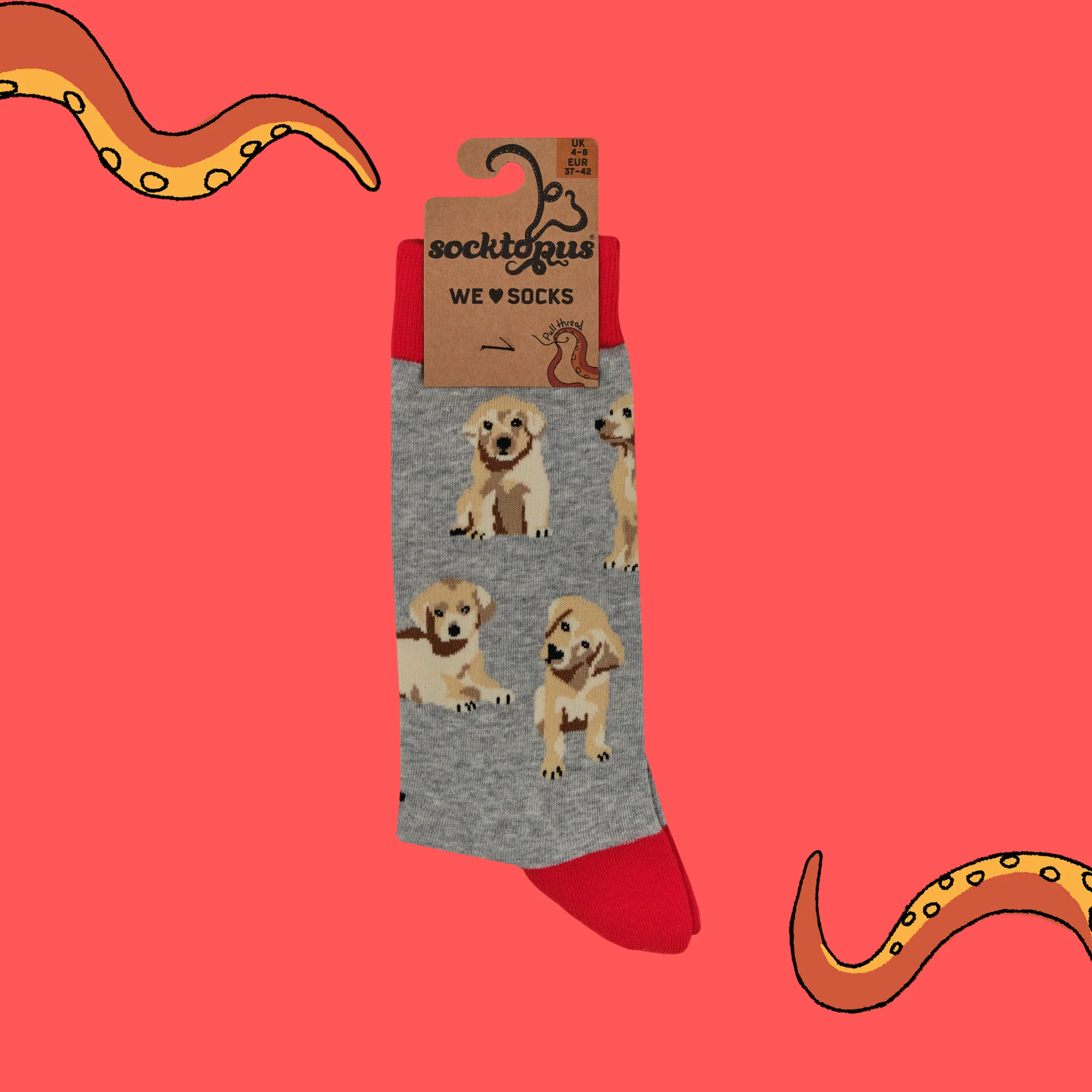 Puppy Love Socks - Image 8