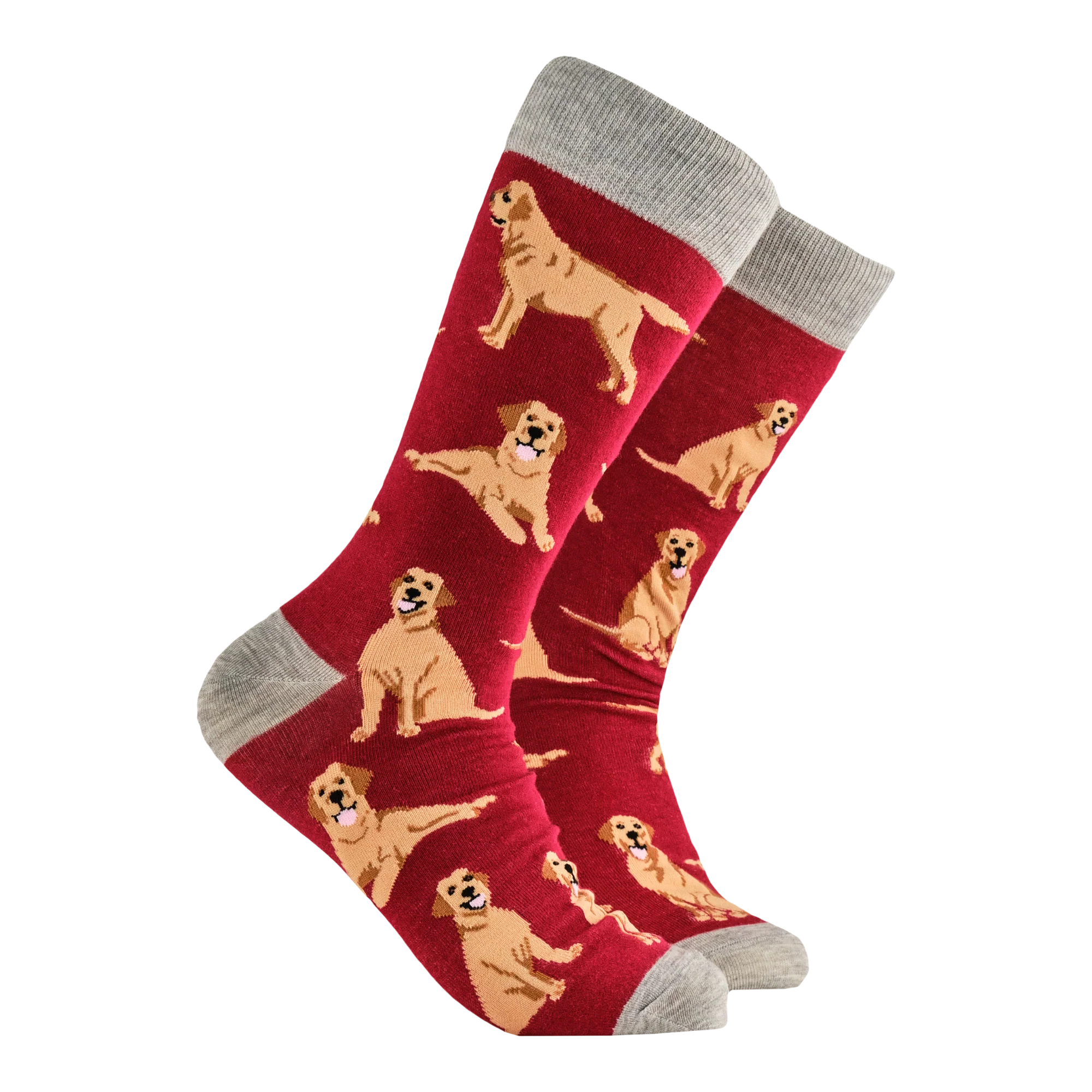 Labrador Retriever Socks - Labradorable - Image 3