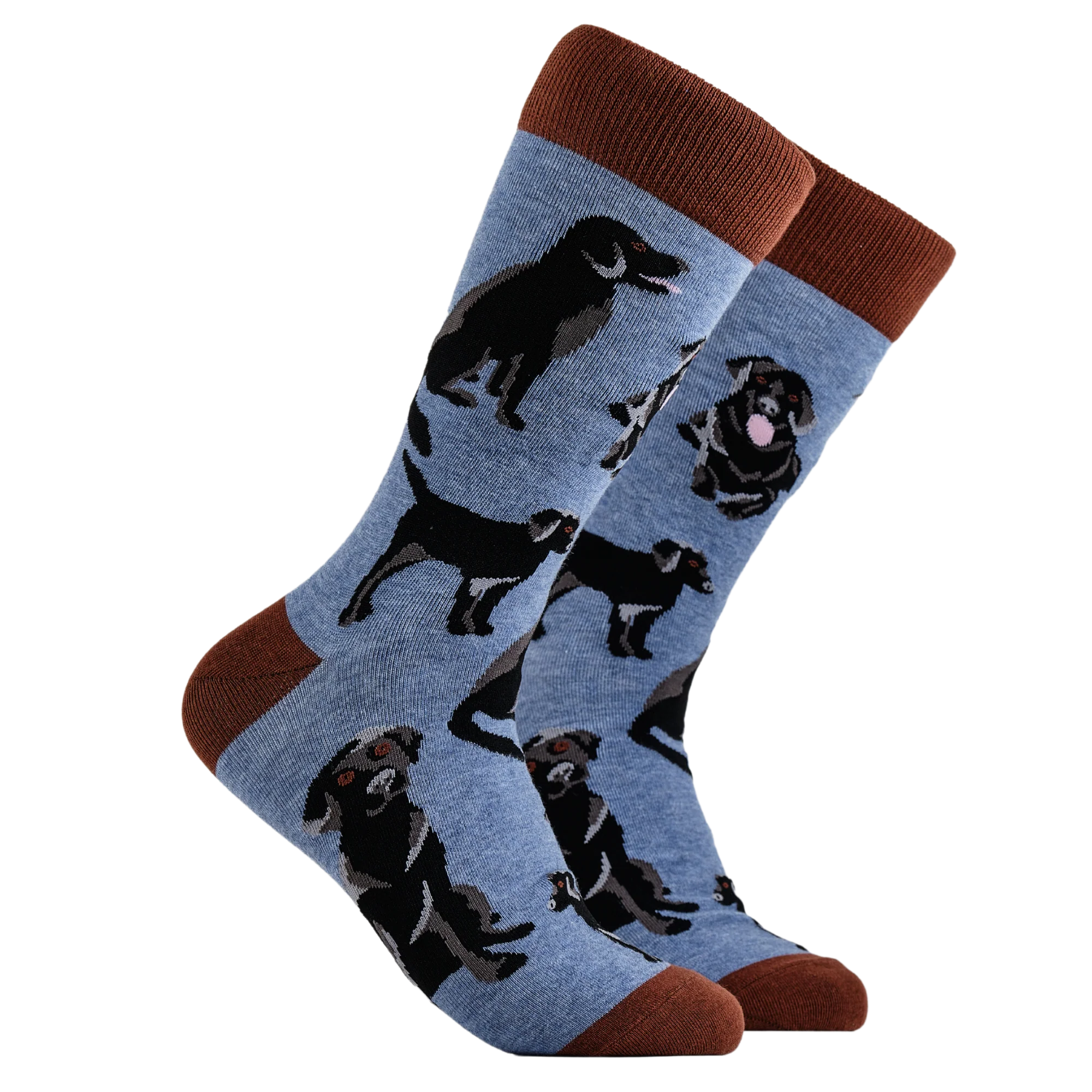 Labrador Socks - Black Lab