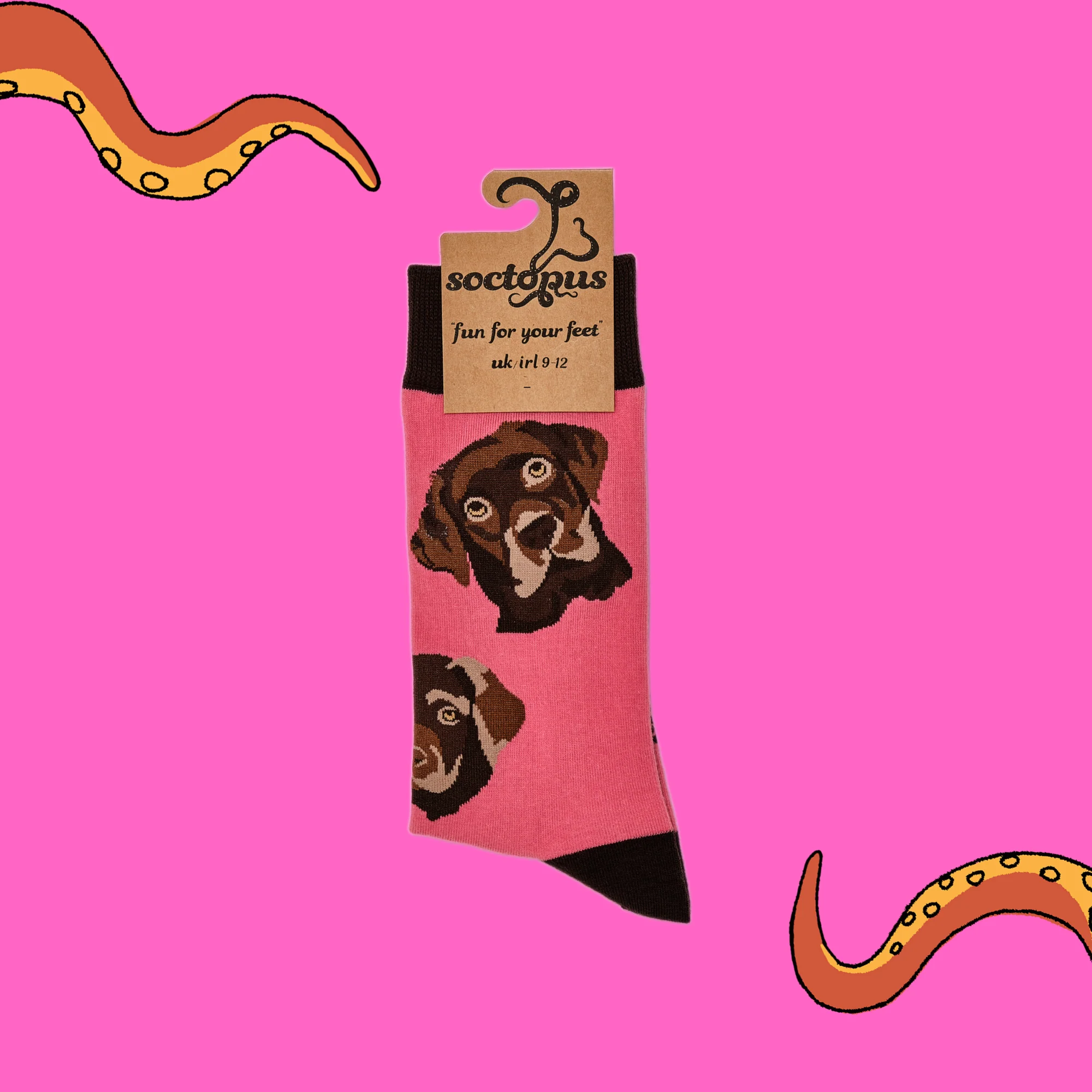 Labrador Socks - Choc Lab - Image 7