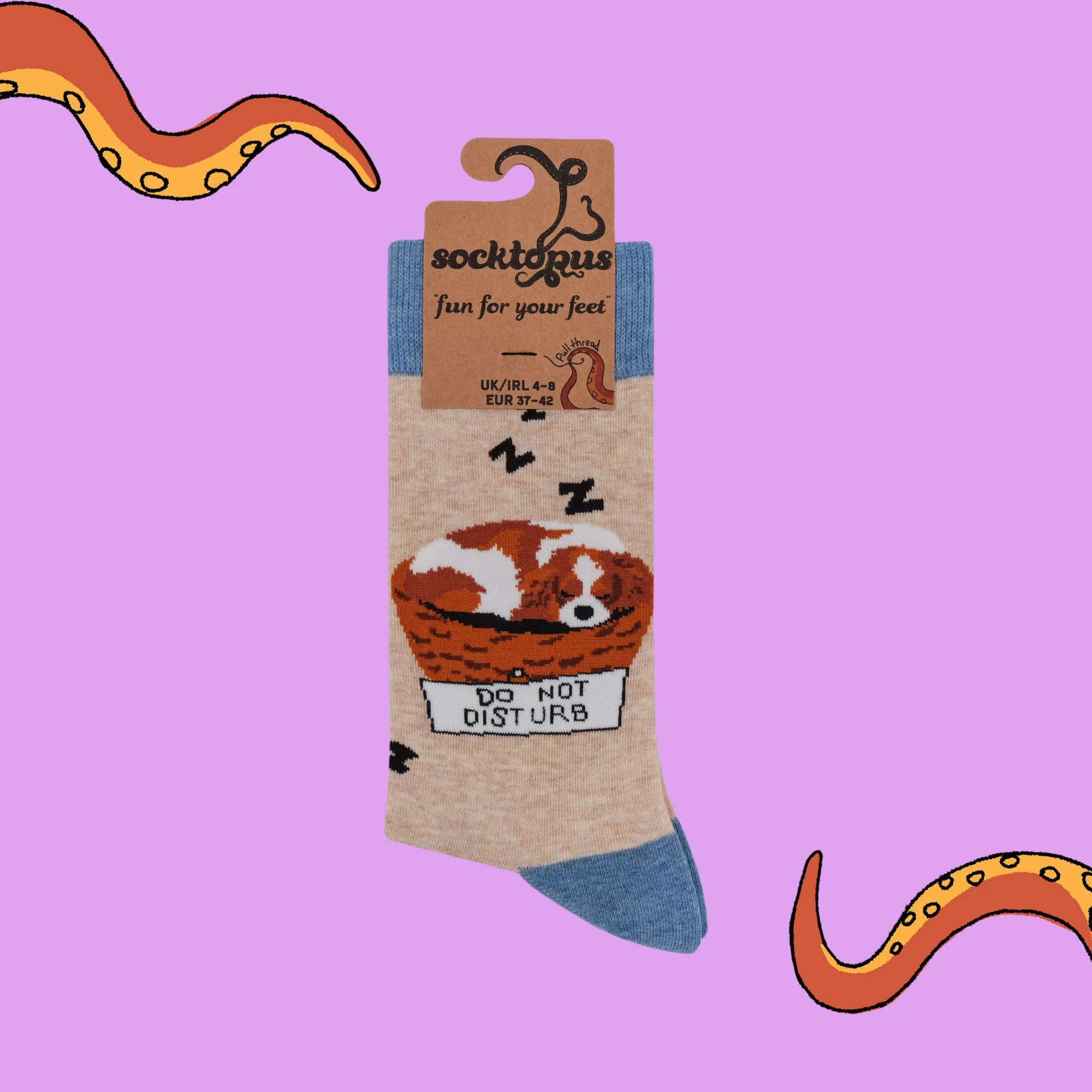 Dog Socks - Let Sleeping Dogs Lie - Image 4