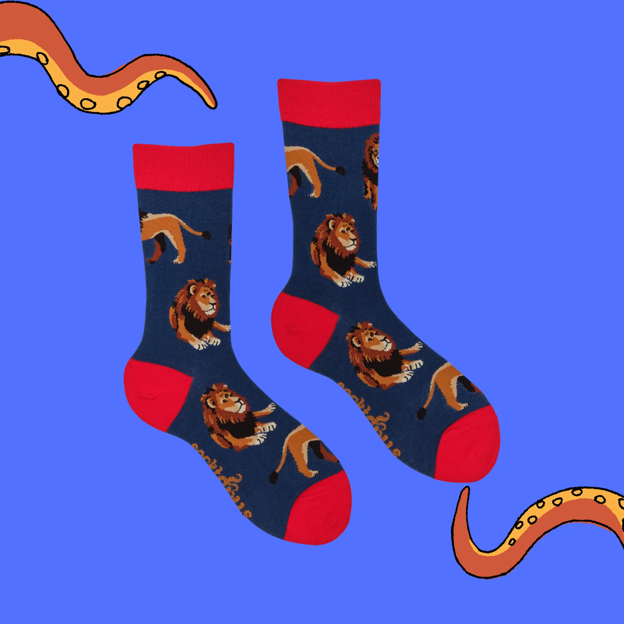 Lion Socks - Pride Of Place - Image 3