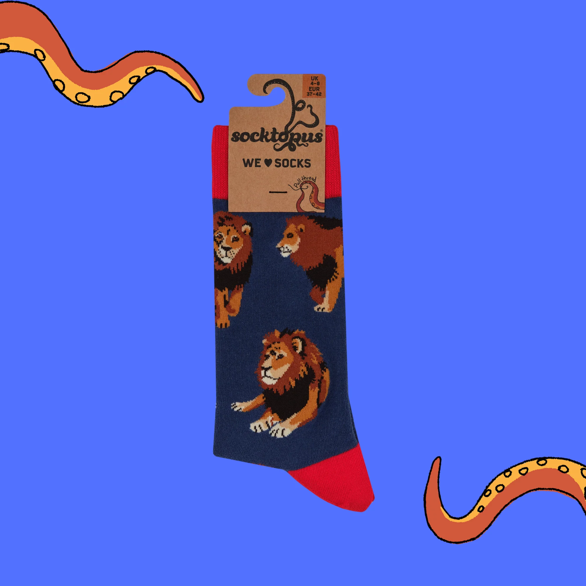 Lion Socks - Pride Of Place - Image 4