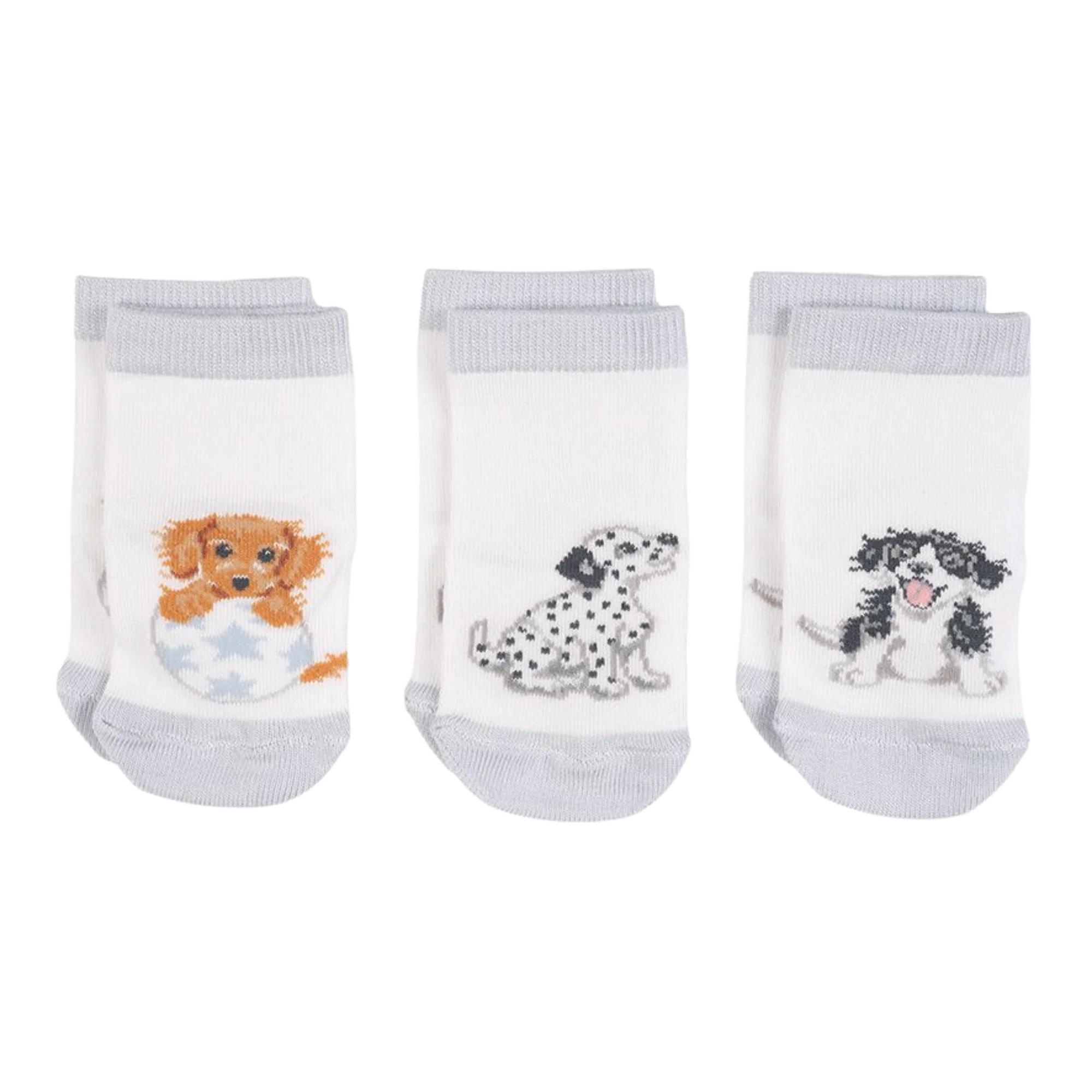Little Paws Dog Baby Socks