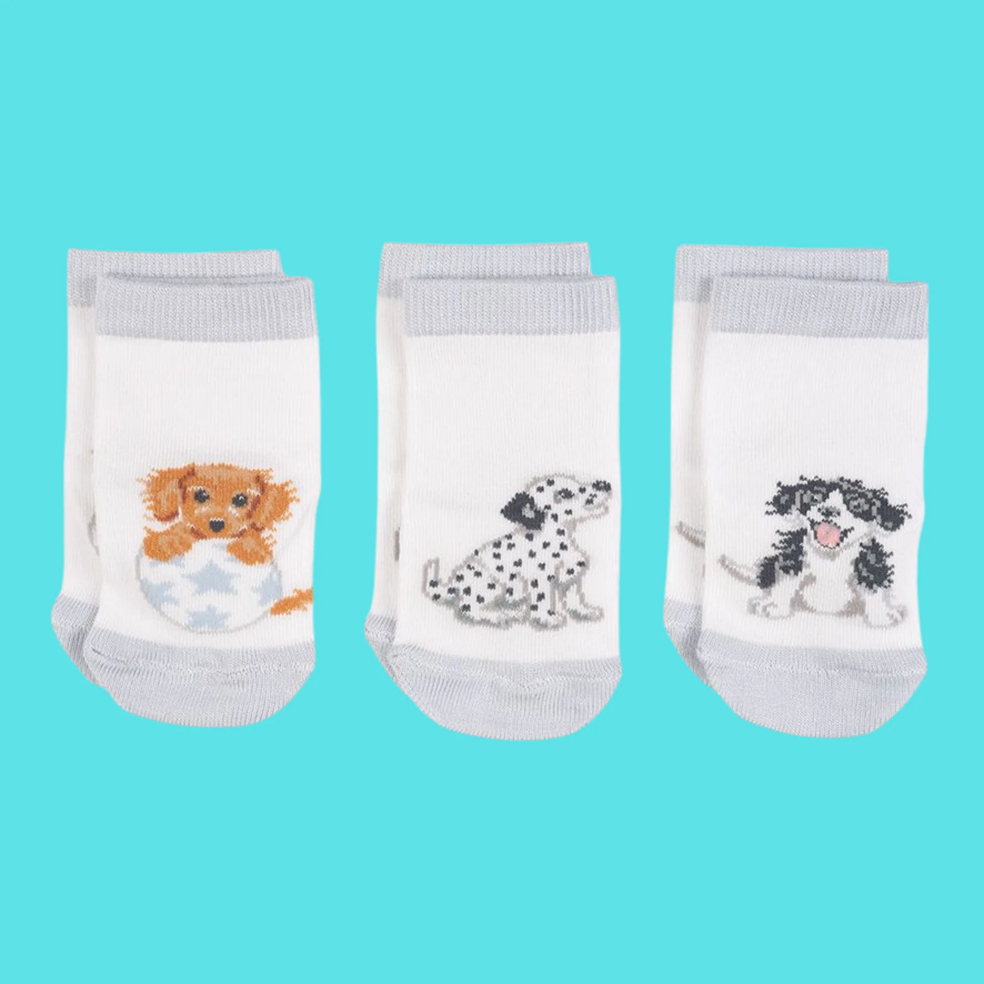 Little Paws Dog Baby Socks - Image 2