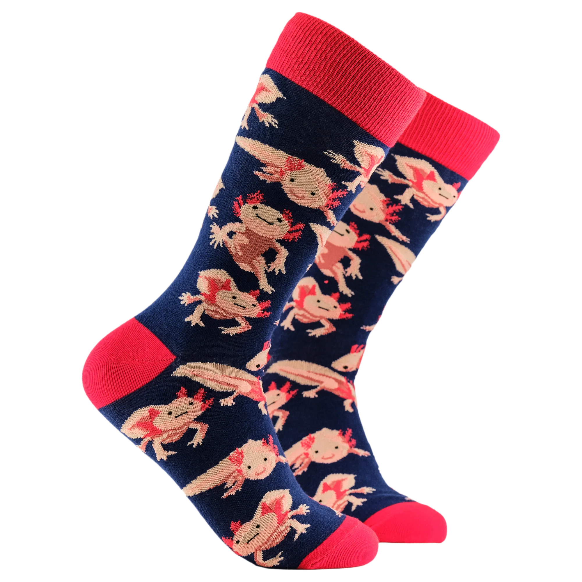 Axolotl Socks - Lottia Axolotl
