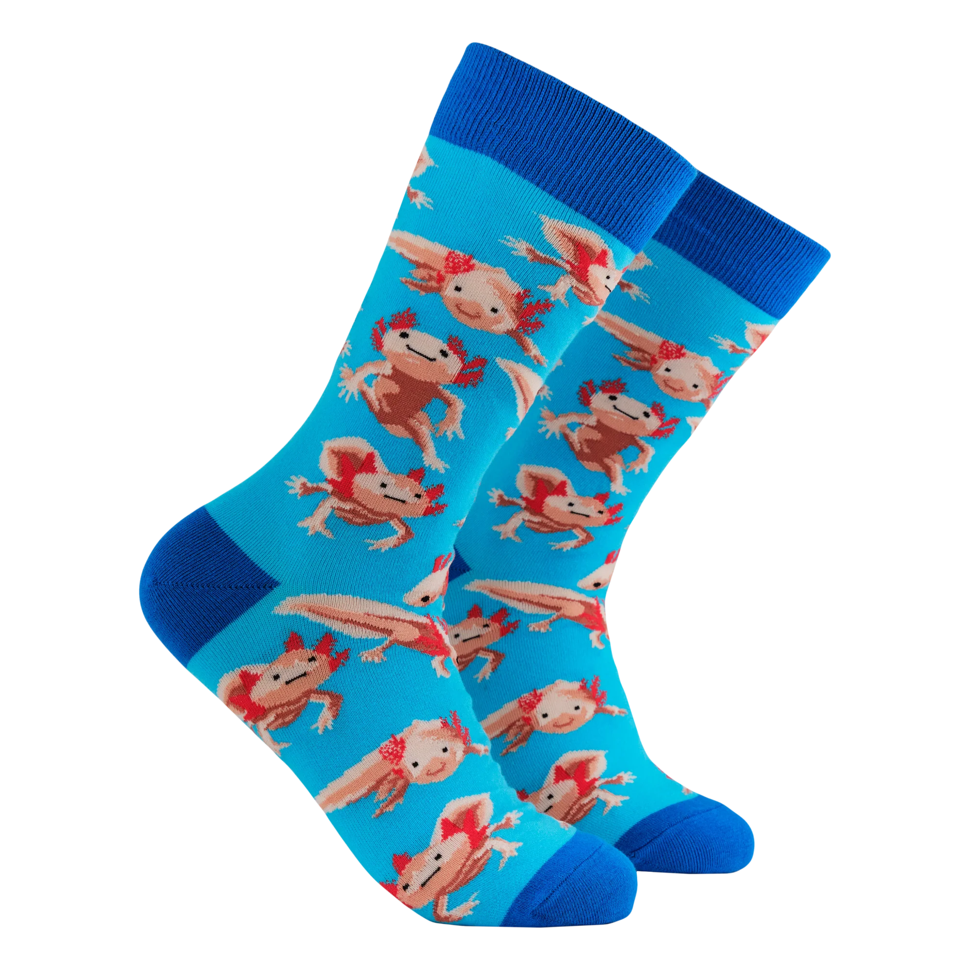 Axolotl Socks - Lottia Axolotl - Image 3