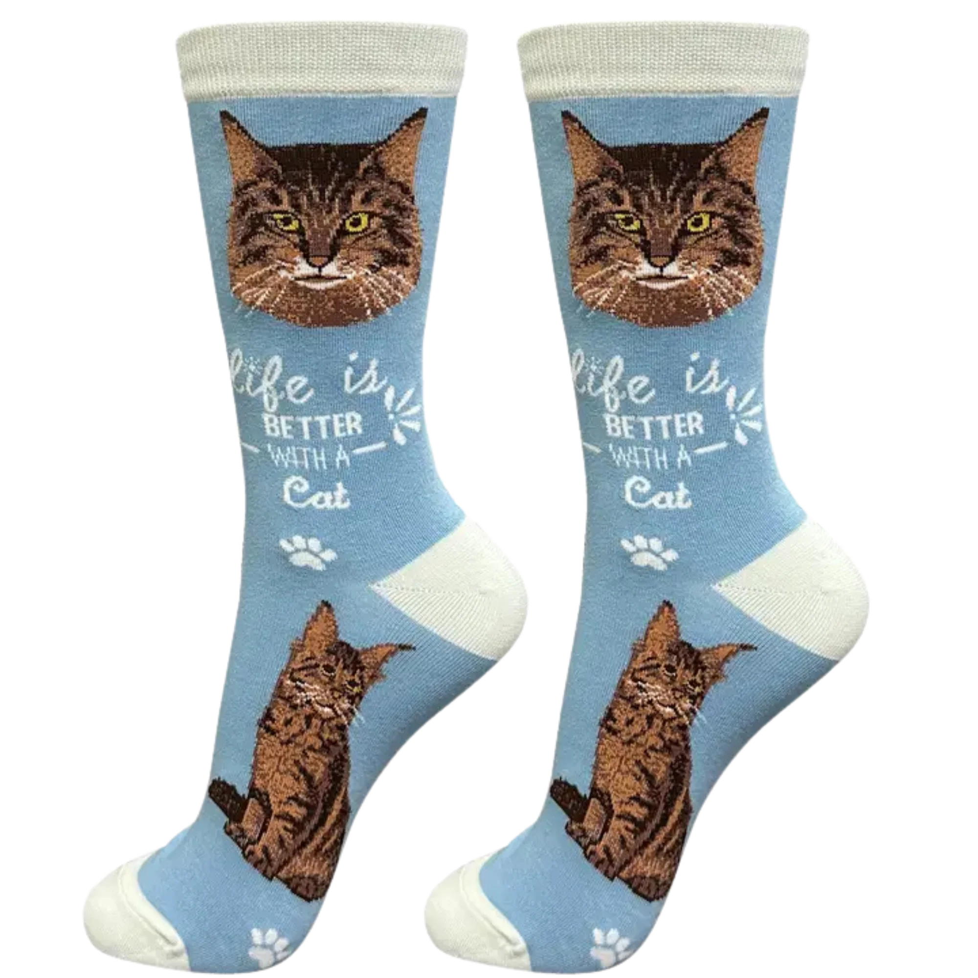 Maine Coon Cat Slogan Socks