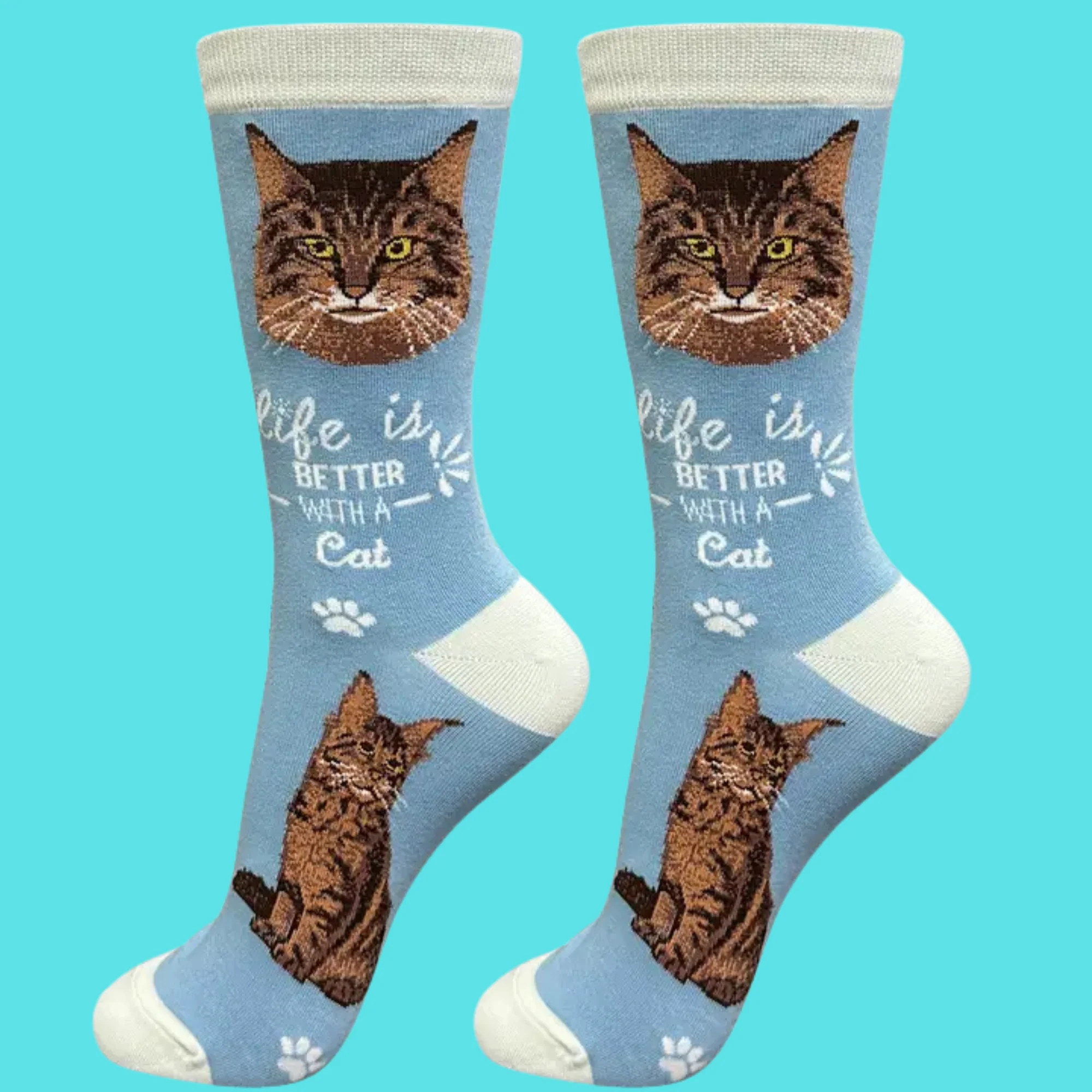 Maine Coon Cat Slogan Socks - Image 2