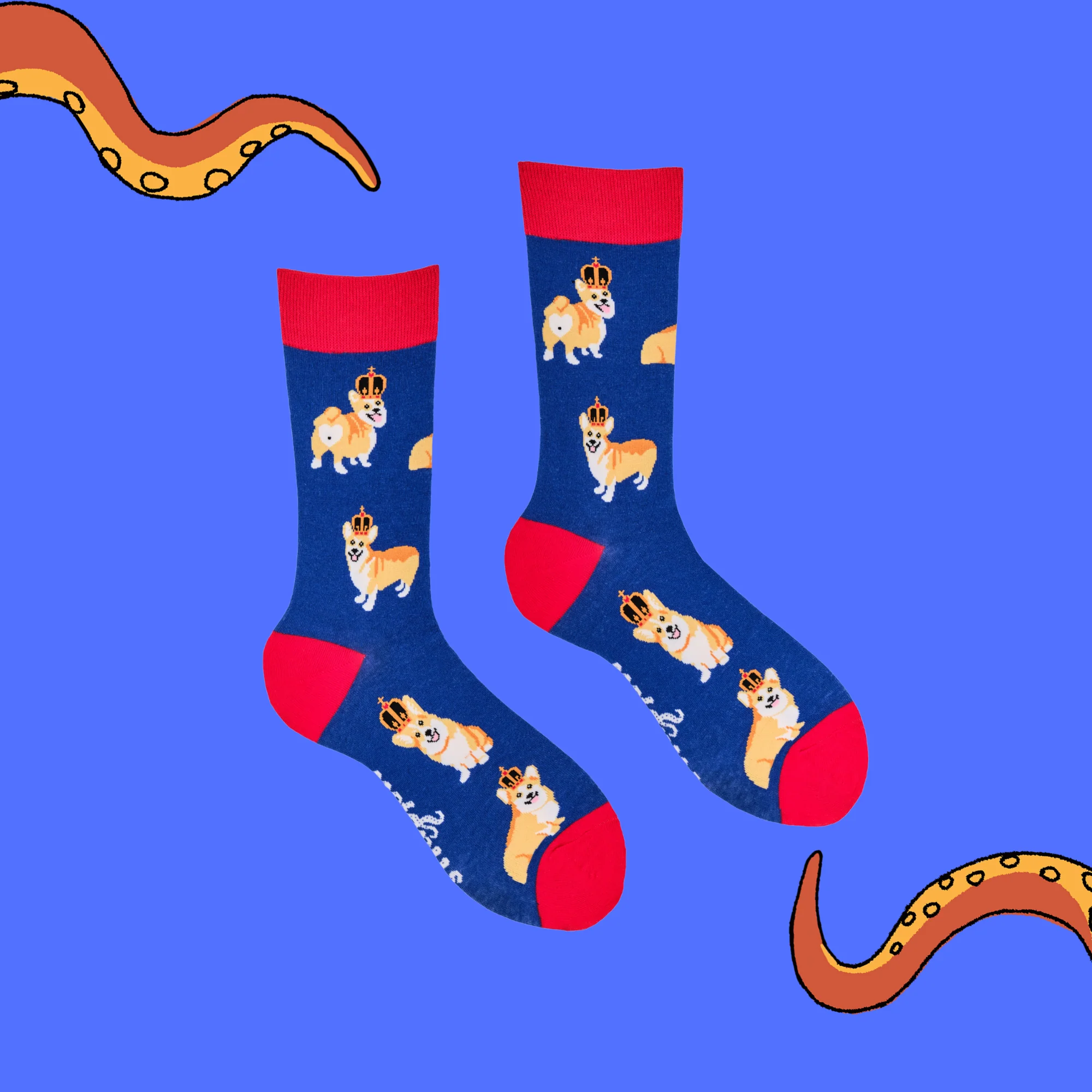 Majestic Corgi Socks - Image 3
