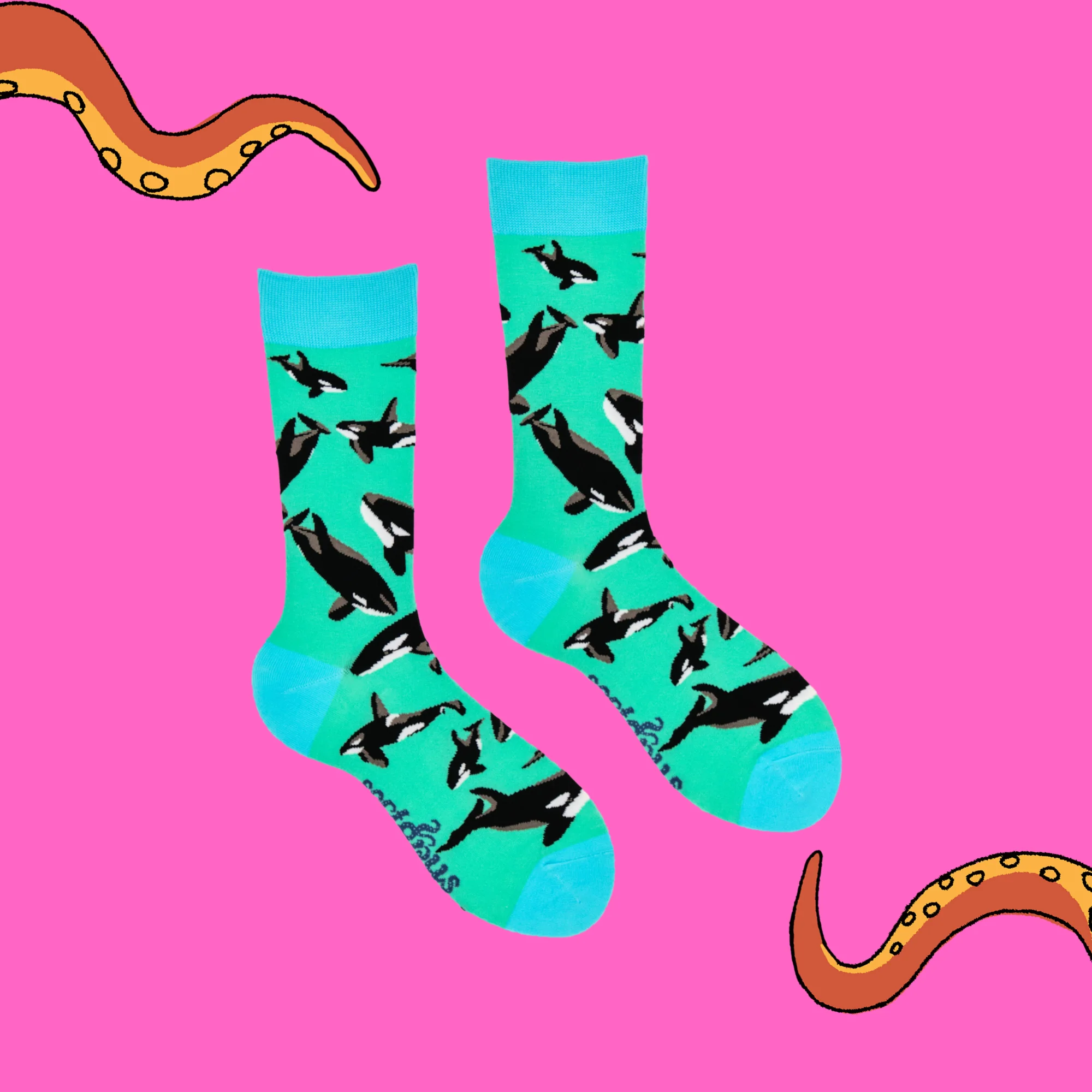 Orca Pod Socks - Image 3