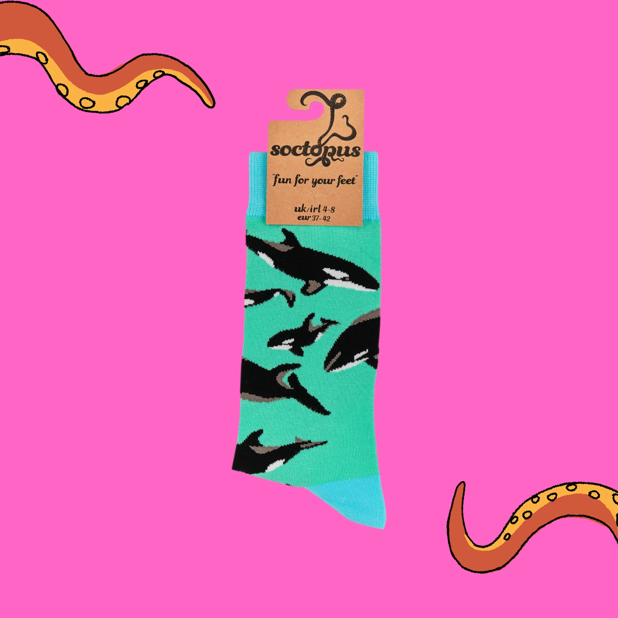 Orca Pod Socks - Image 4