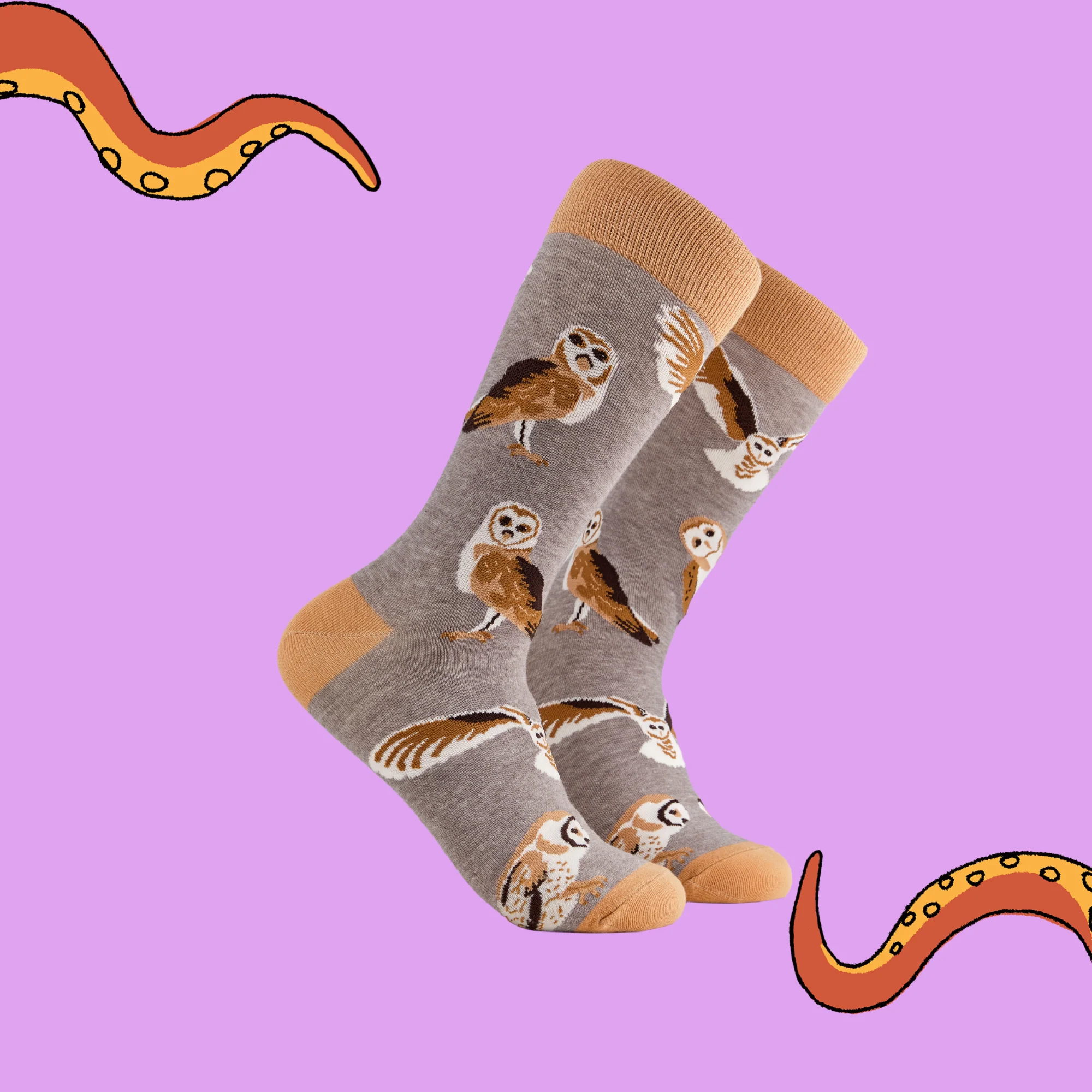 Owl Socks - What a Hoot - Image 2