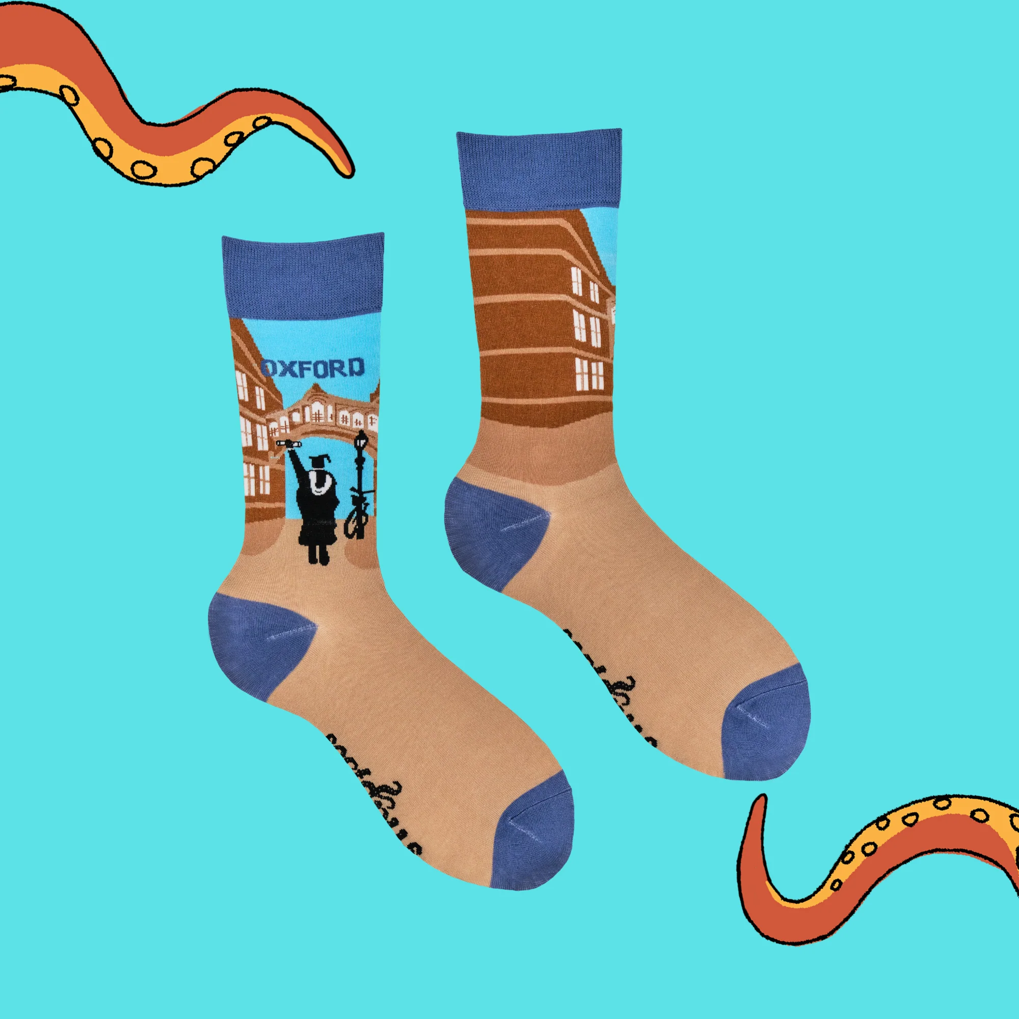 Oxford Winner Socks - Image 3
