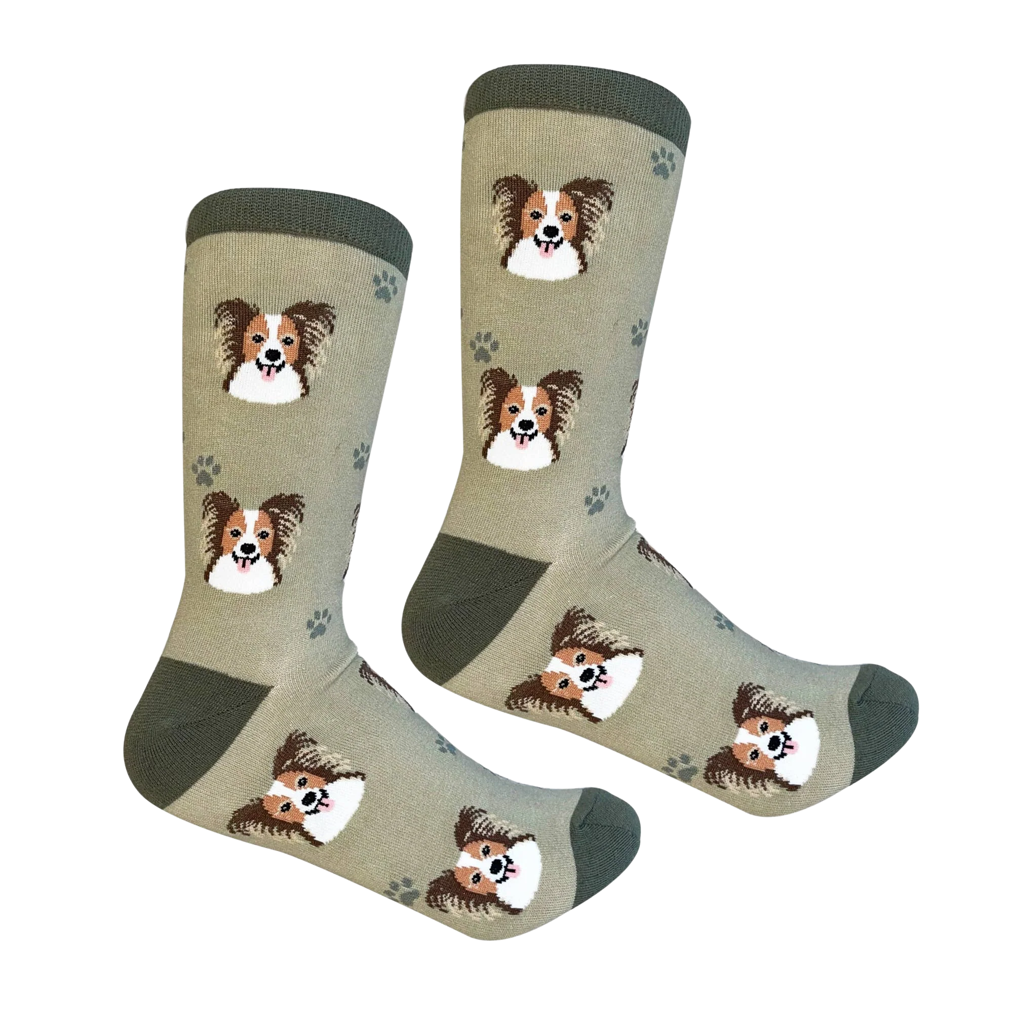Papillon Dog Socks