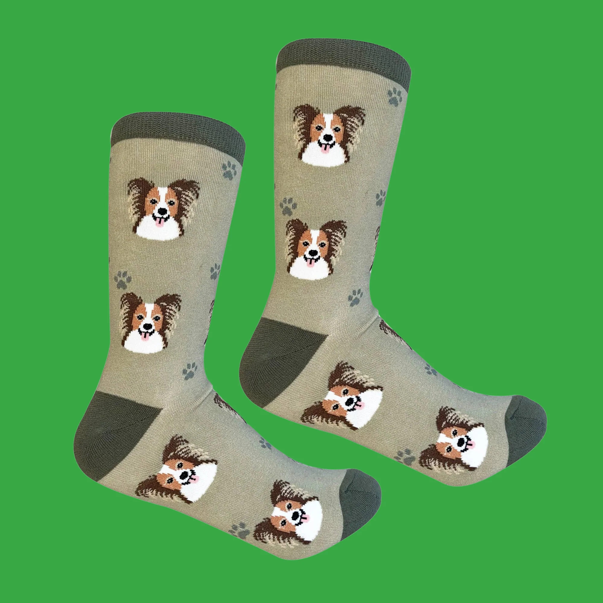 Papillon Dog Socks - Image 2