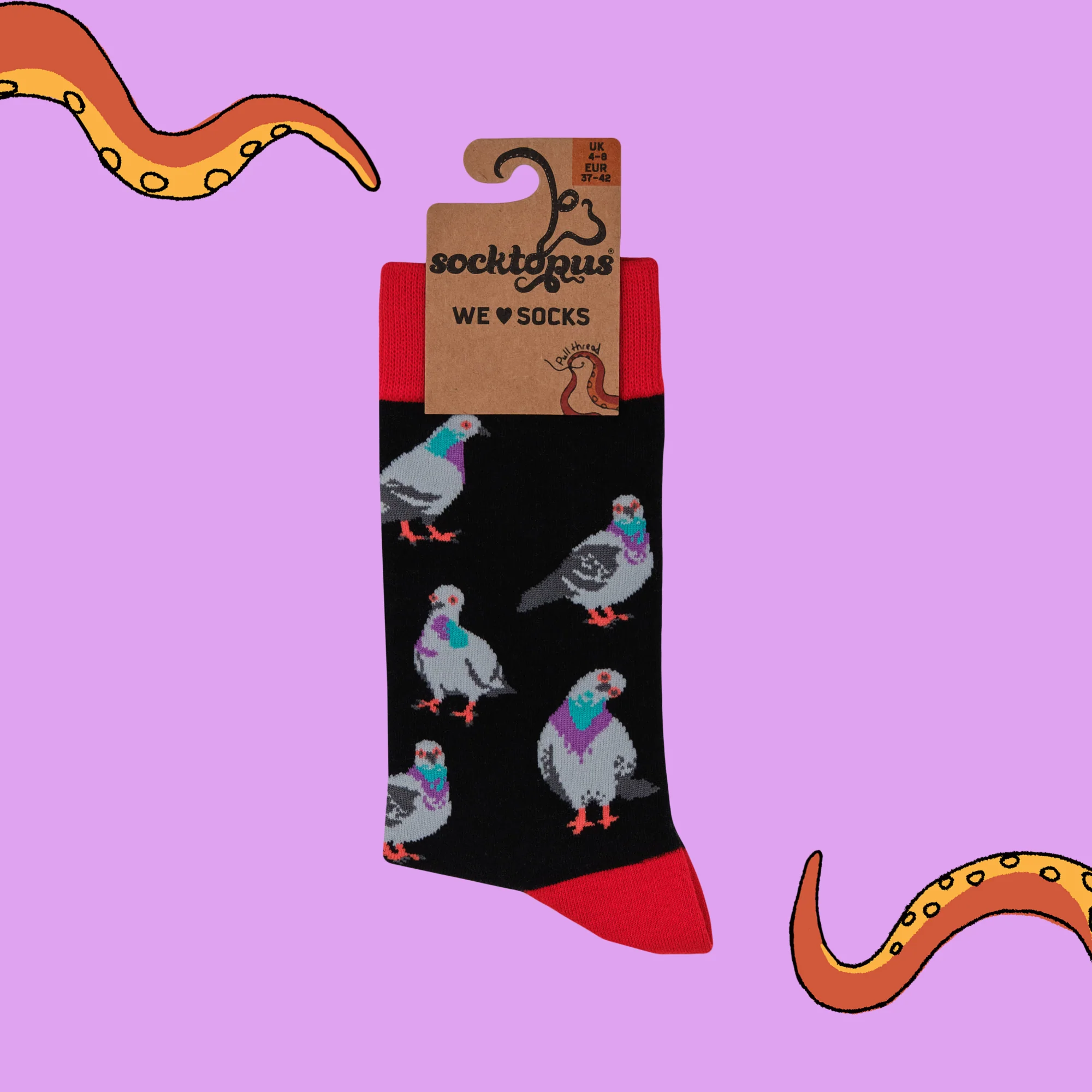 Pigeon Socks - Pigeon Toed - Image 4