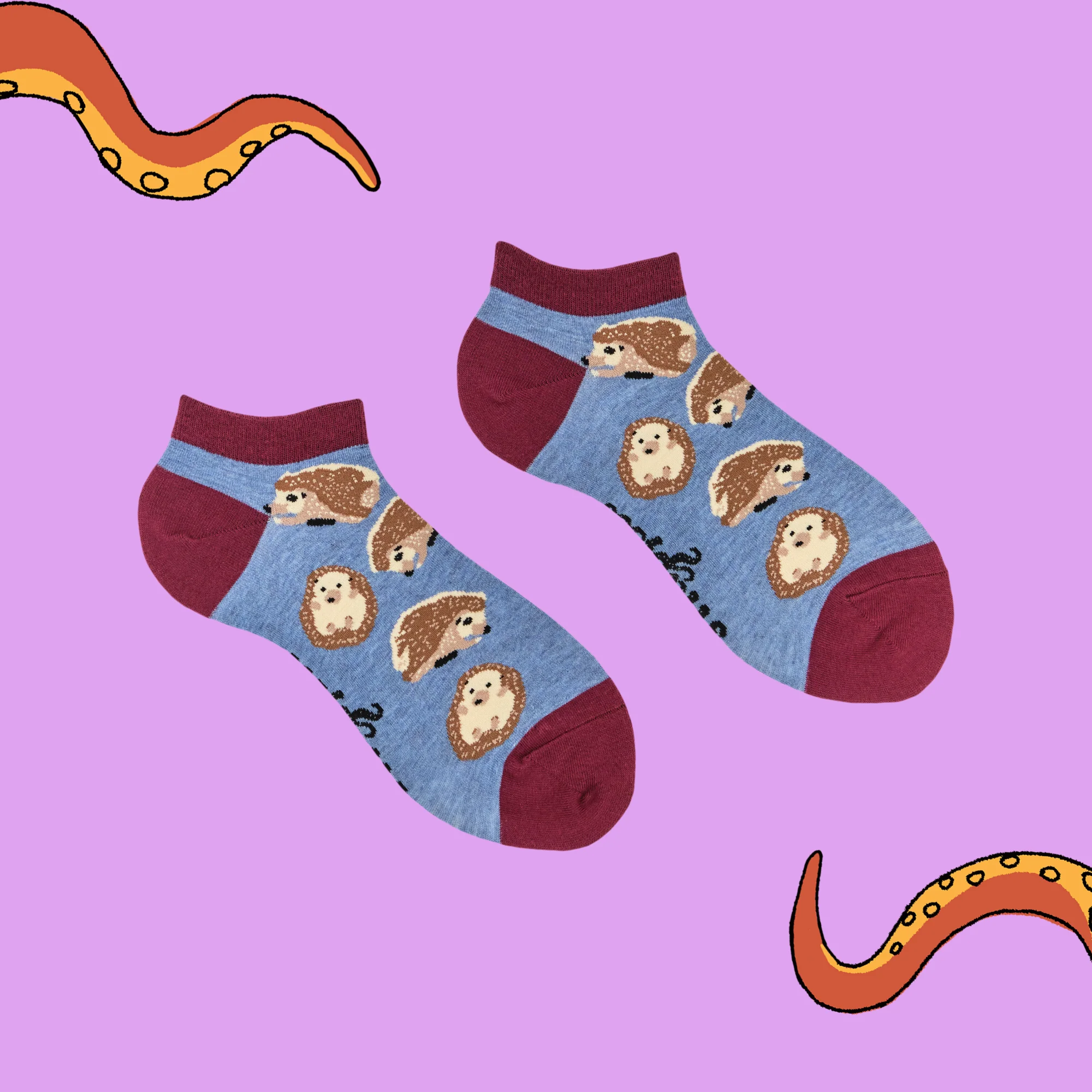 Prickly Trainer Socks - Image 3