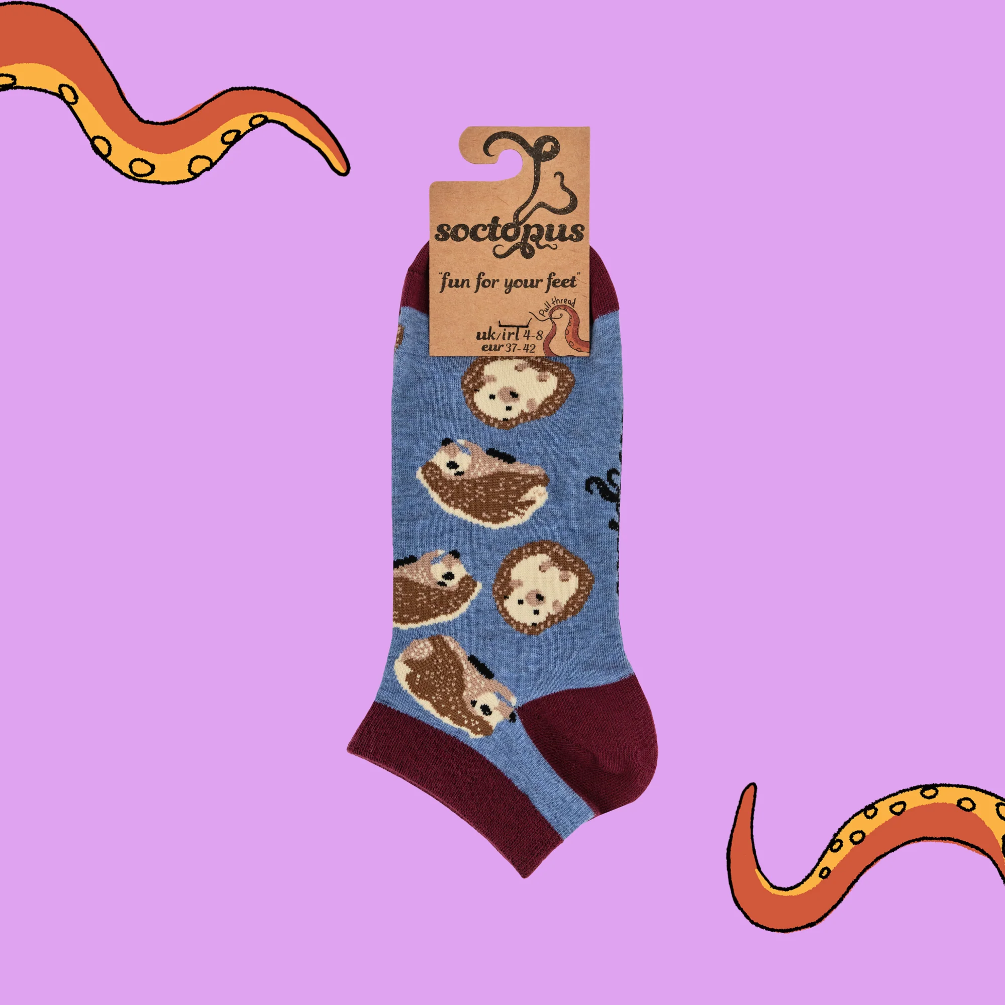 Prickly Trainer Socks - Image 4