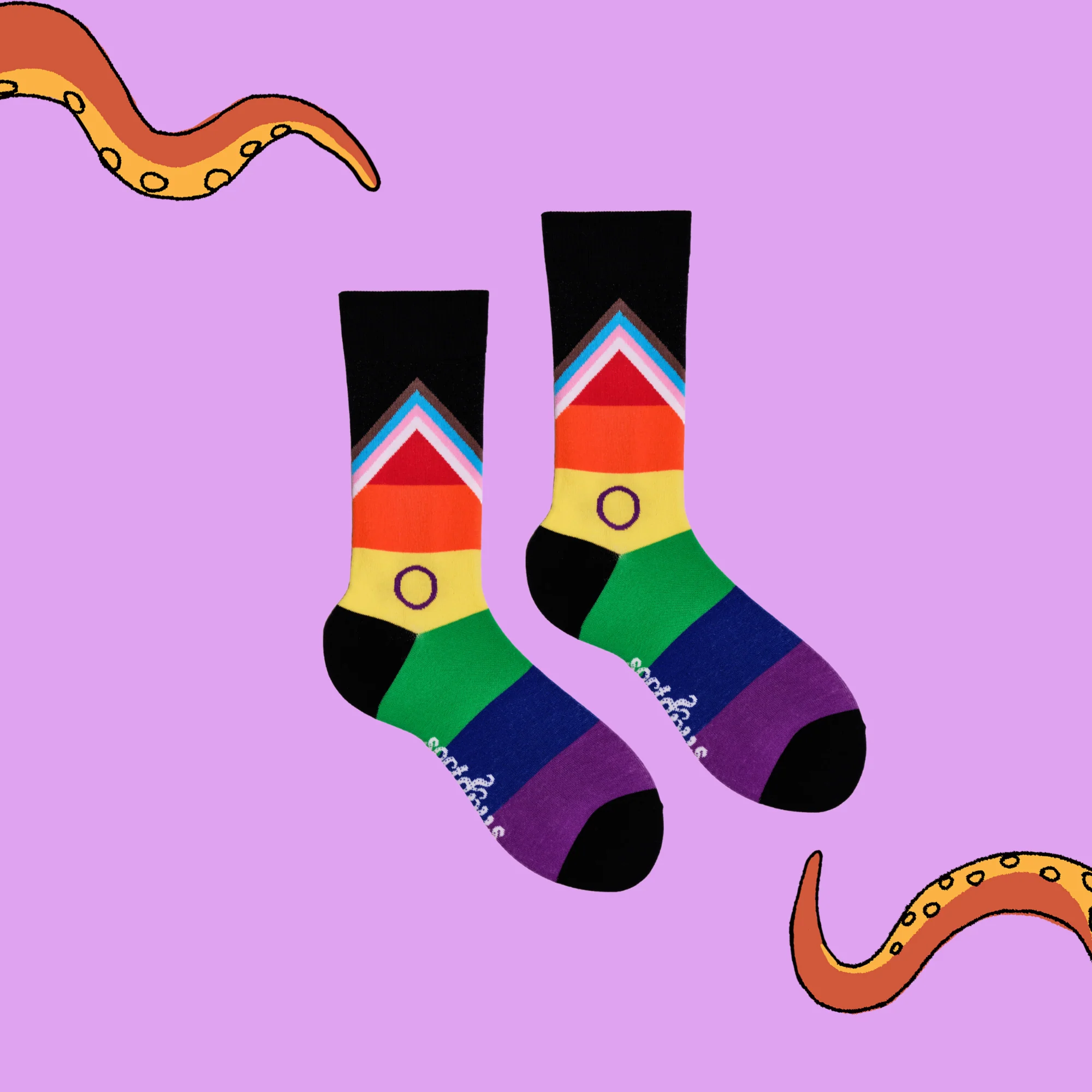 LGBTQA+ Socks - Progress Pride - Image 3