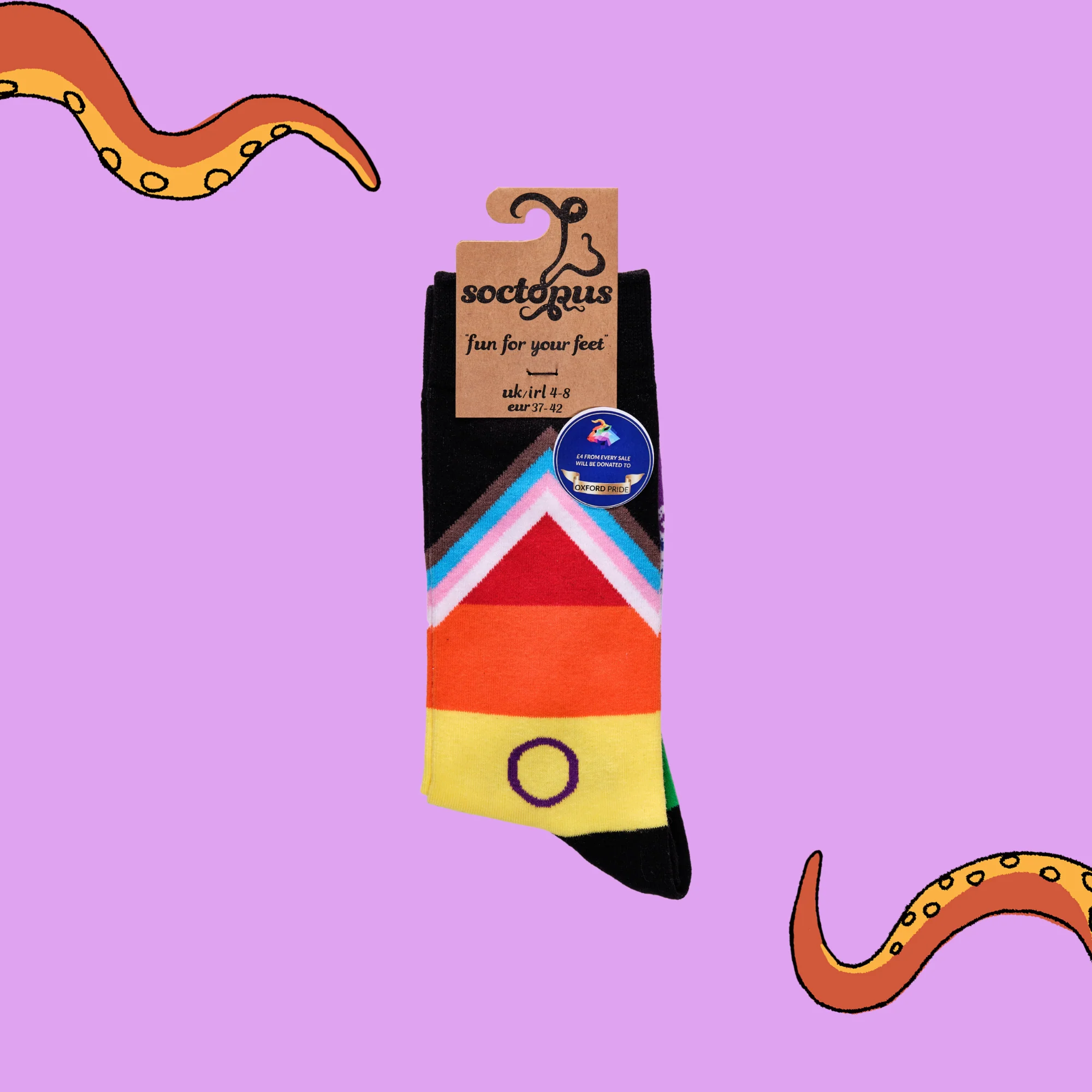 LGBTQA+ Socks - Progress Pride - Image 4