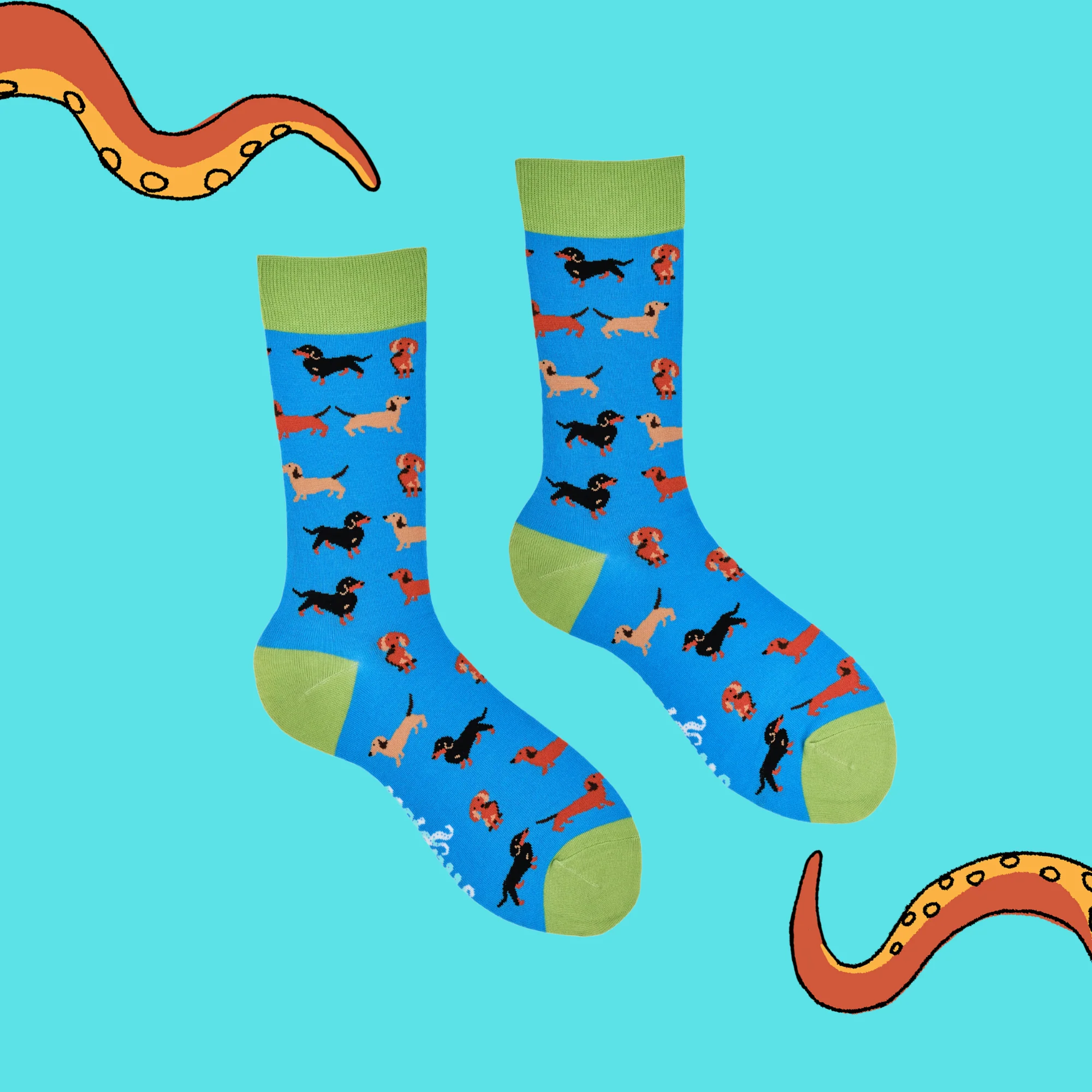 Sausage Dog Socks - Dasching Around - Image 3