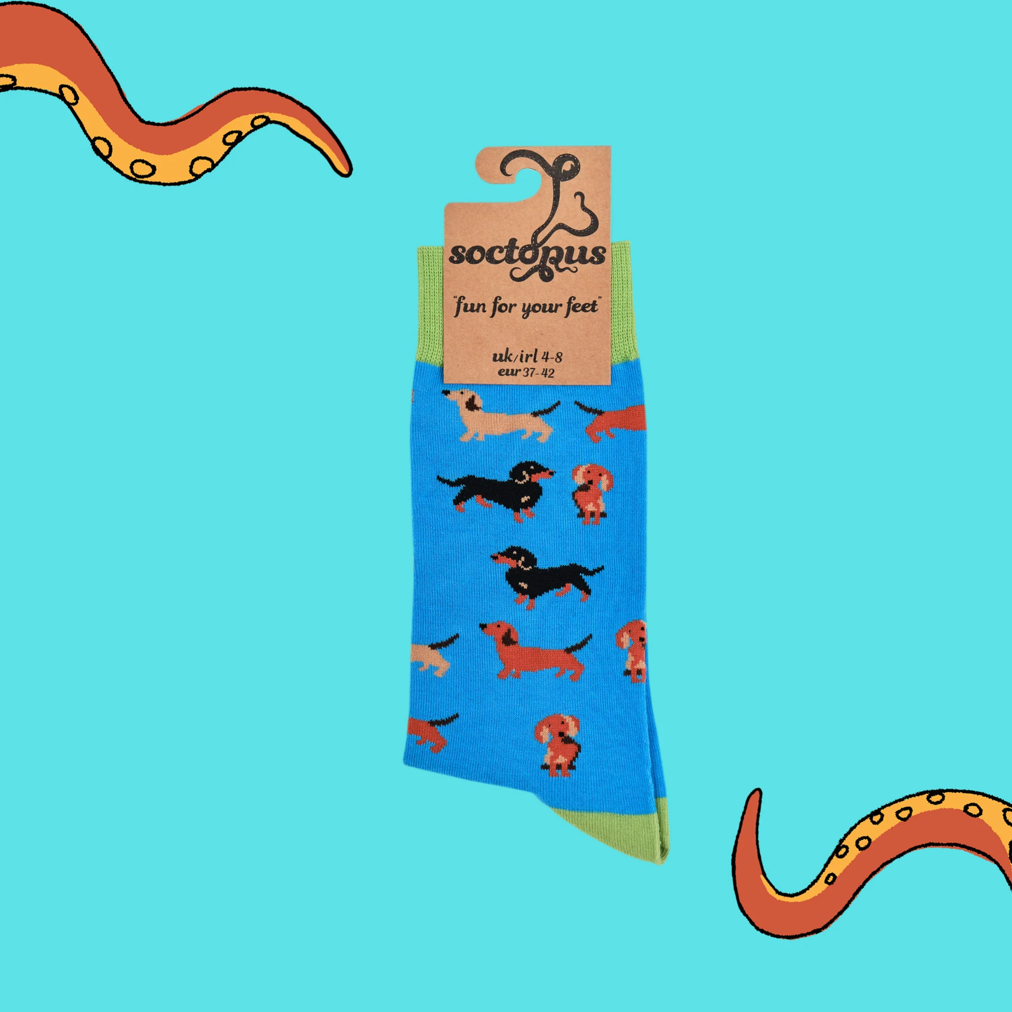 Sausage Dog Socks - Dasching Around - Image 4