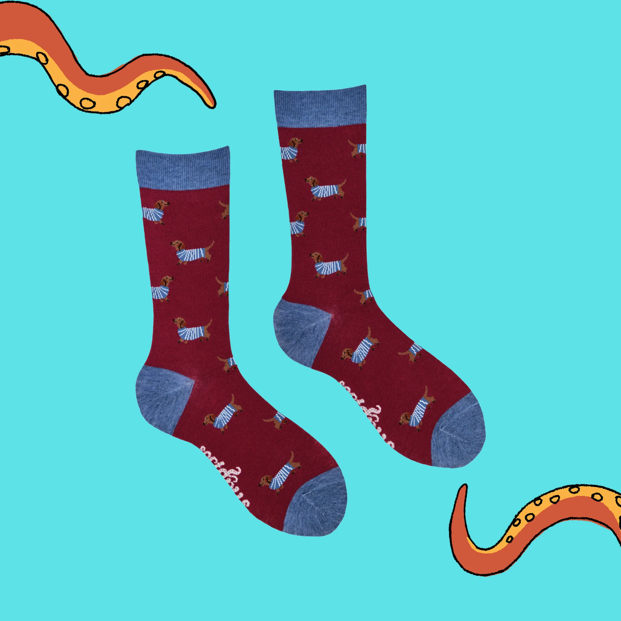 Sausage Dog Socks - Hot Dippity-Dog - Image 6