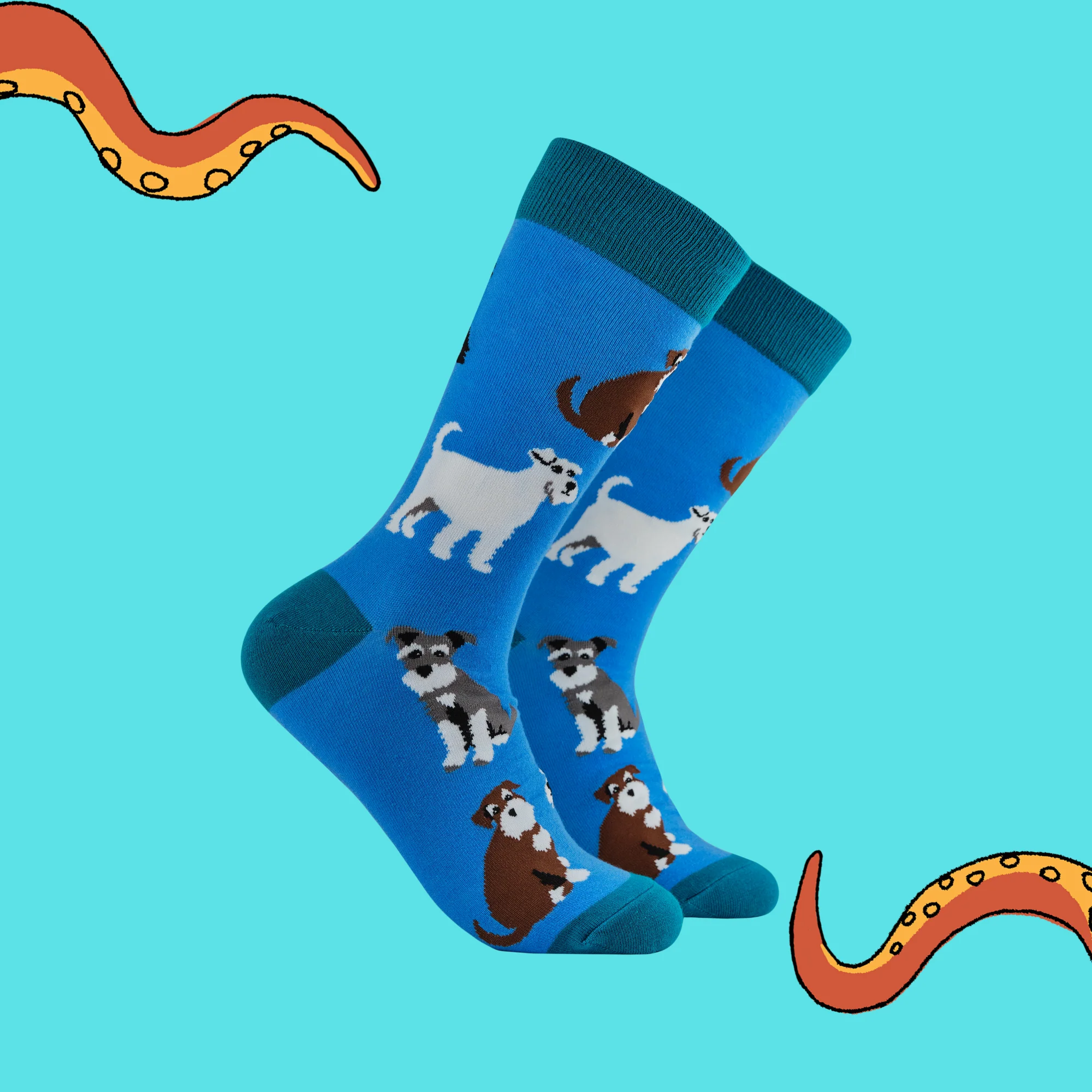 Schnauzer Socks - Schnauz-About That - Image 2