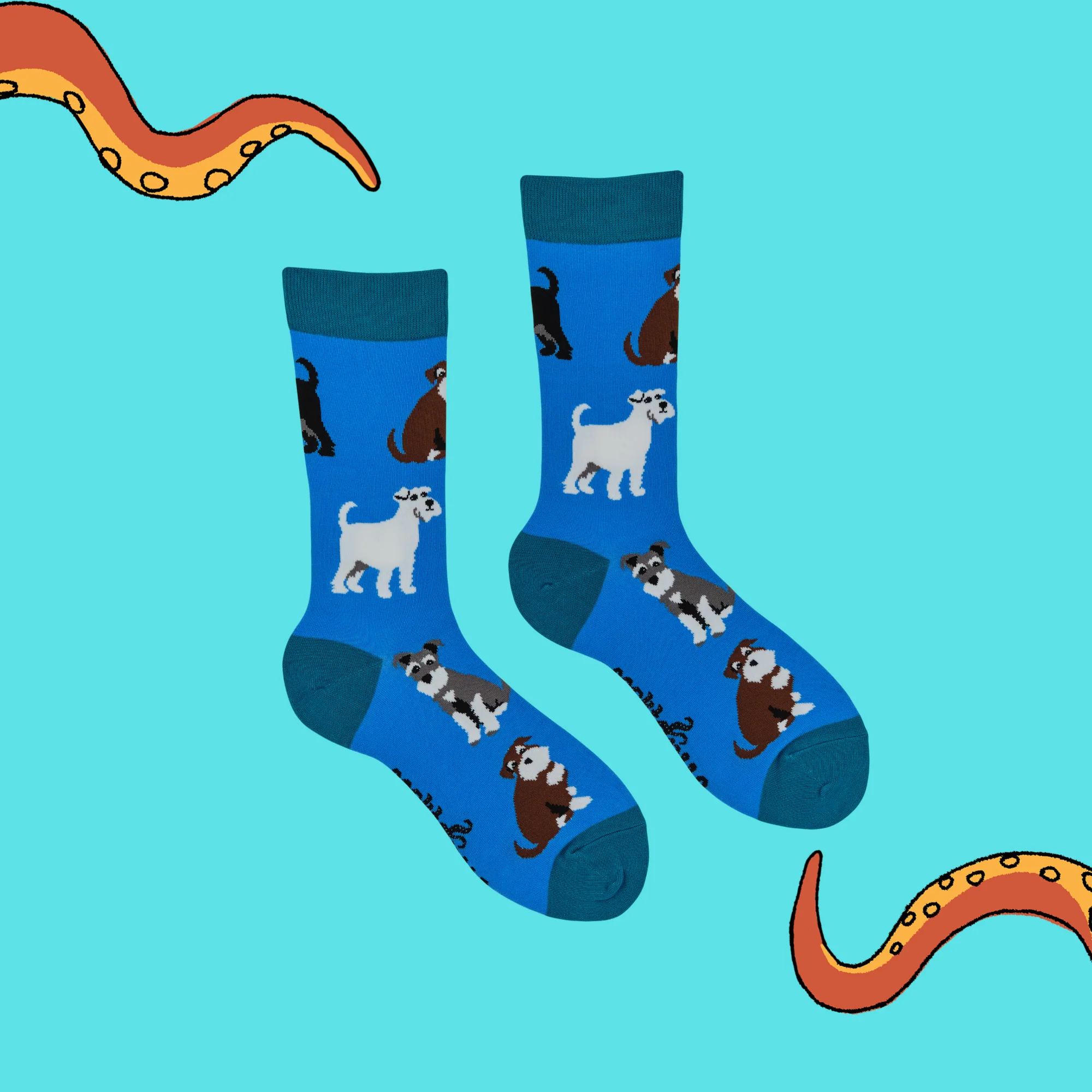 Schnauzer Socks - Schnauz-About That - Image 3