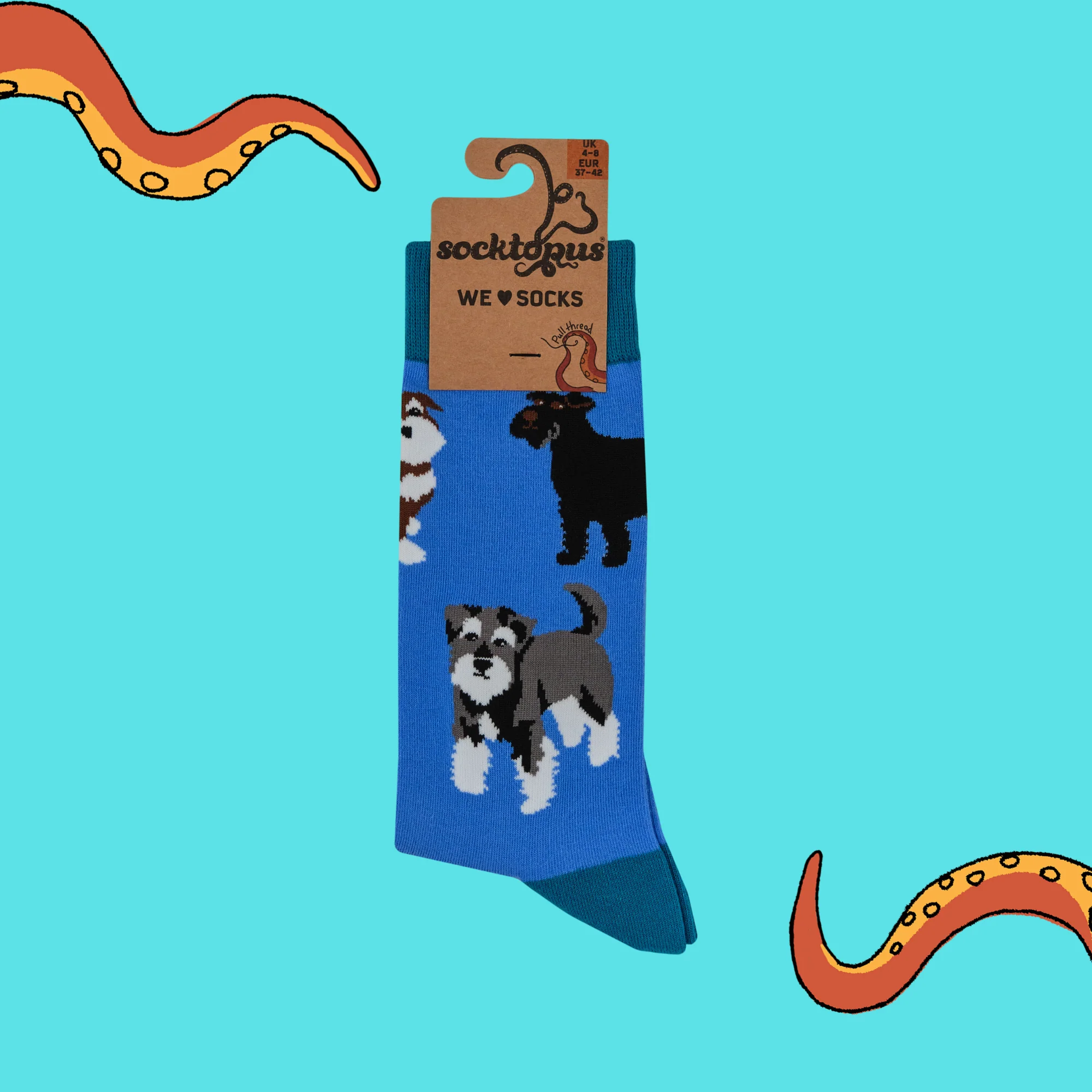 Schnauzer Socks - Schnauz-About That - Image 4